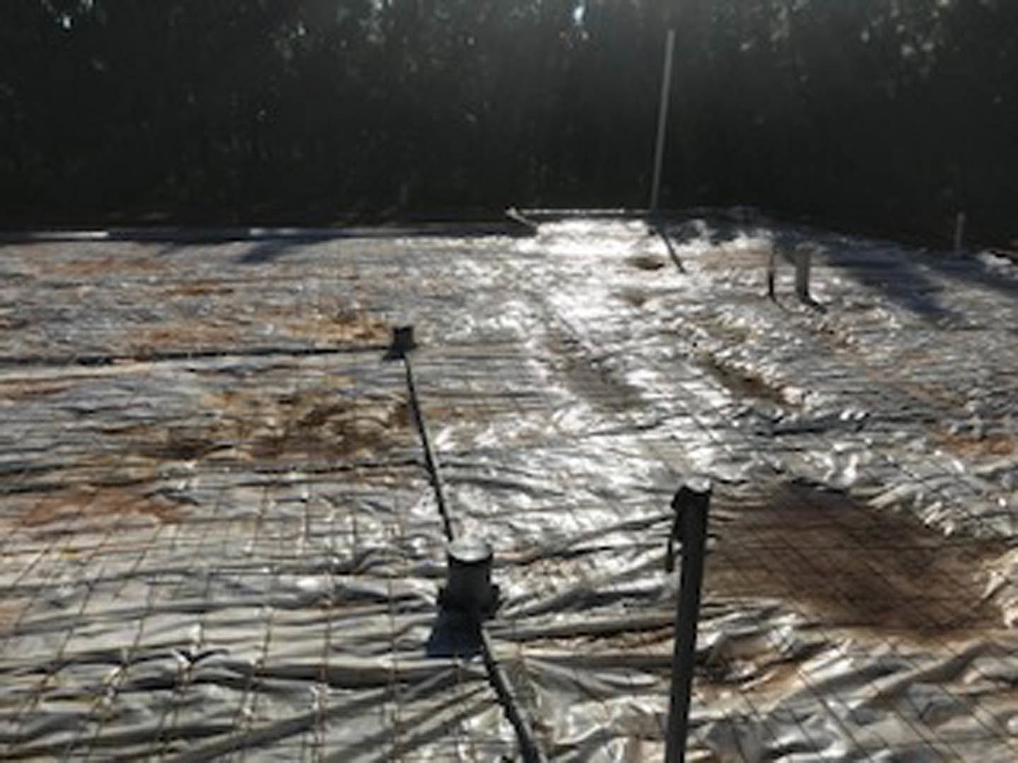 Blue tarp secured over wooden roof, surrounded by snow-covered ground and leafless trees in winter.