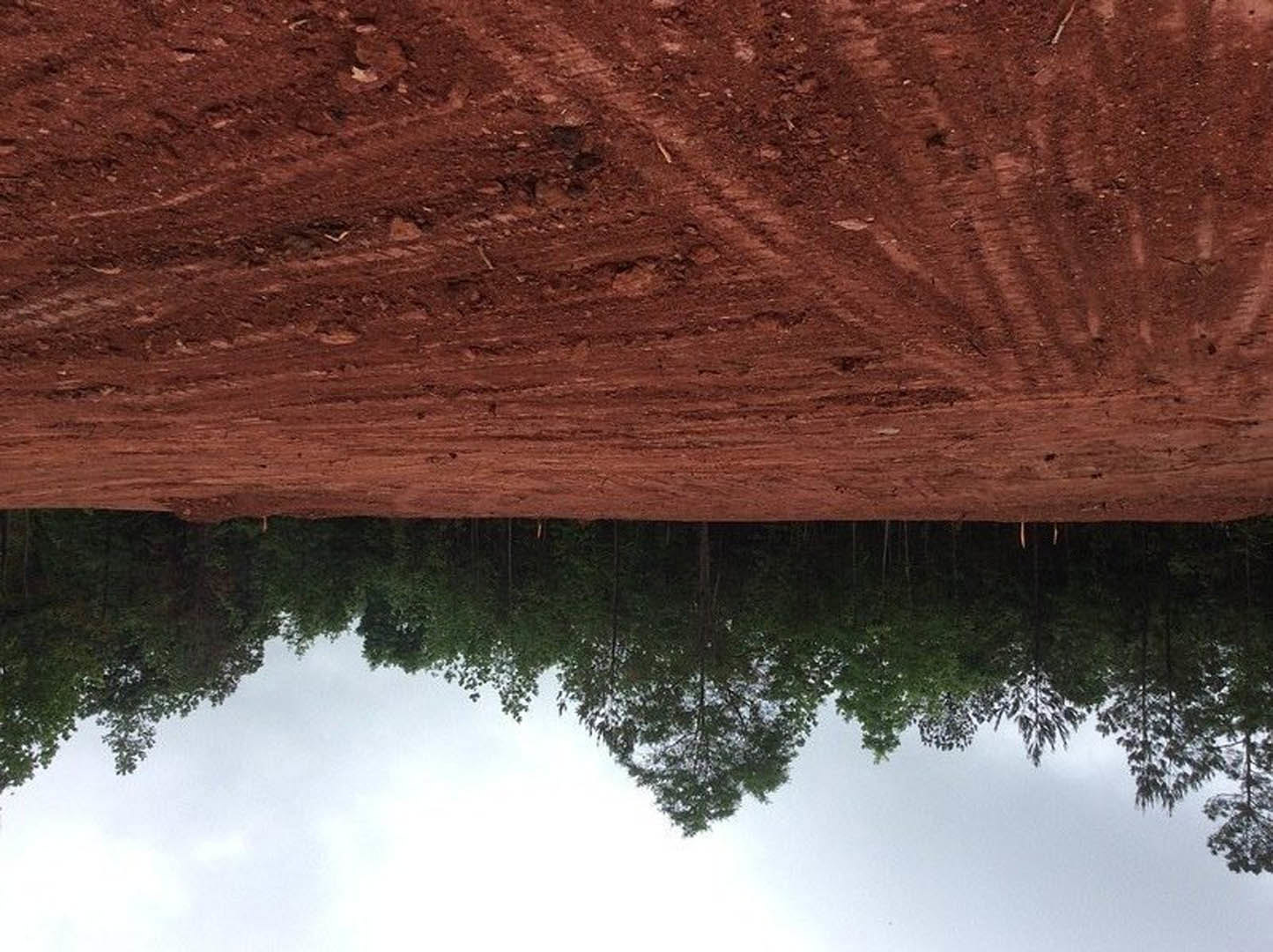 Dirt road bordered by green-leafed trees, natural landscape with sky and distant mountain reflected in lake