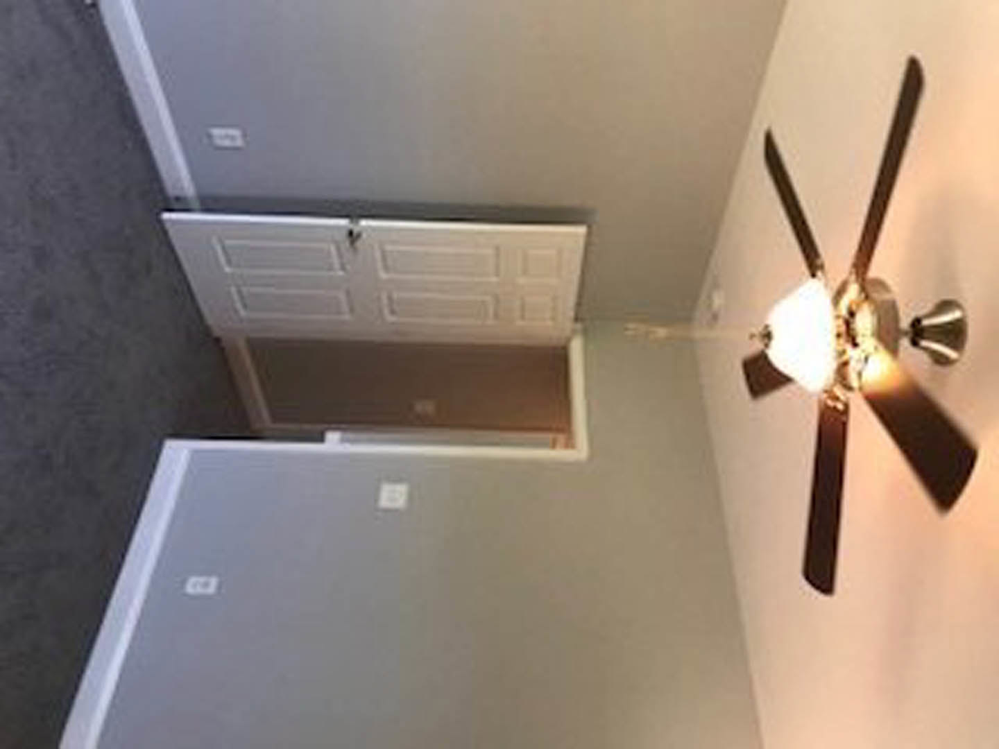 Ceiling fan with light fixture mounted on gray ceiling above neutral-toned room with white door and smooth flooring