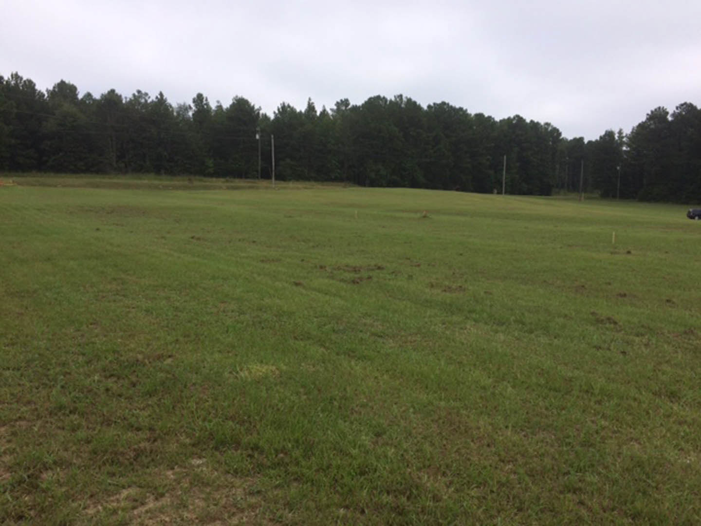 Expansive grassy field bordered by mature trees under a partly cloudy sky