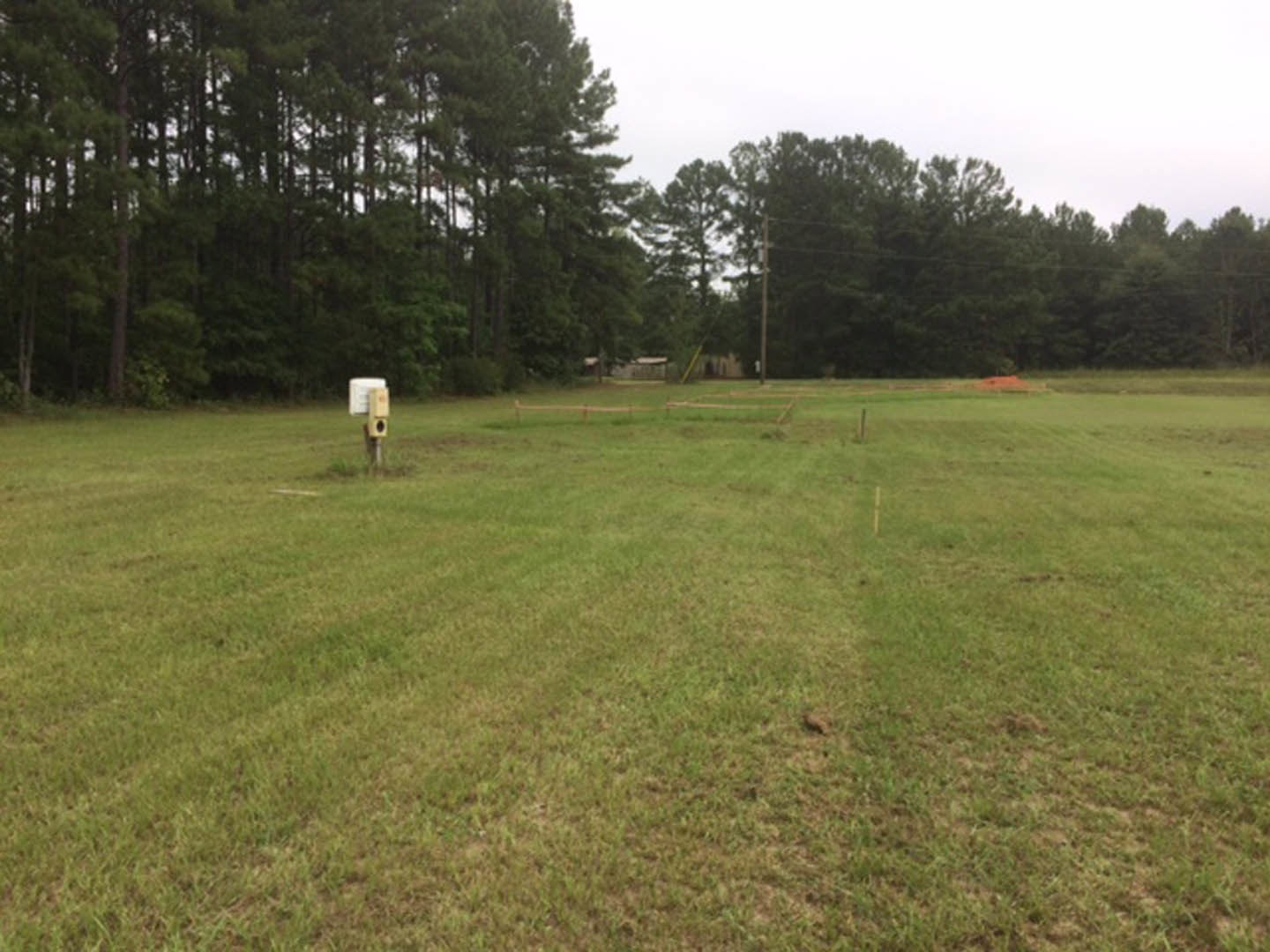 Modern white rectangular home with flat roof set on expansive grassy field, surrounded by scattered trees under open sky