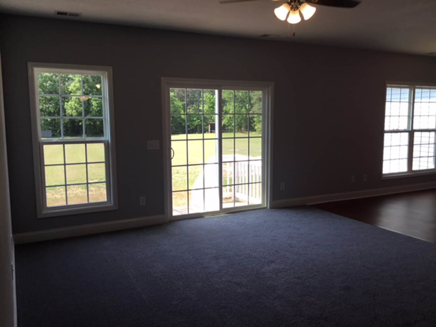 Blue carpeted room featuring a white door, multiple windows with views of green trees and yard, ceiling fan, and neutral walls.