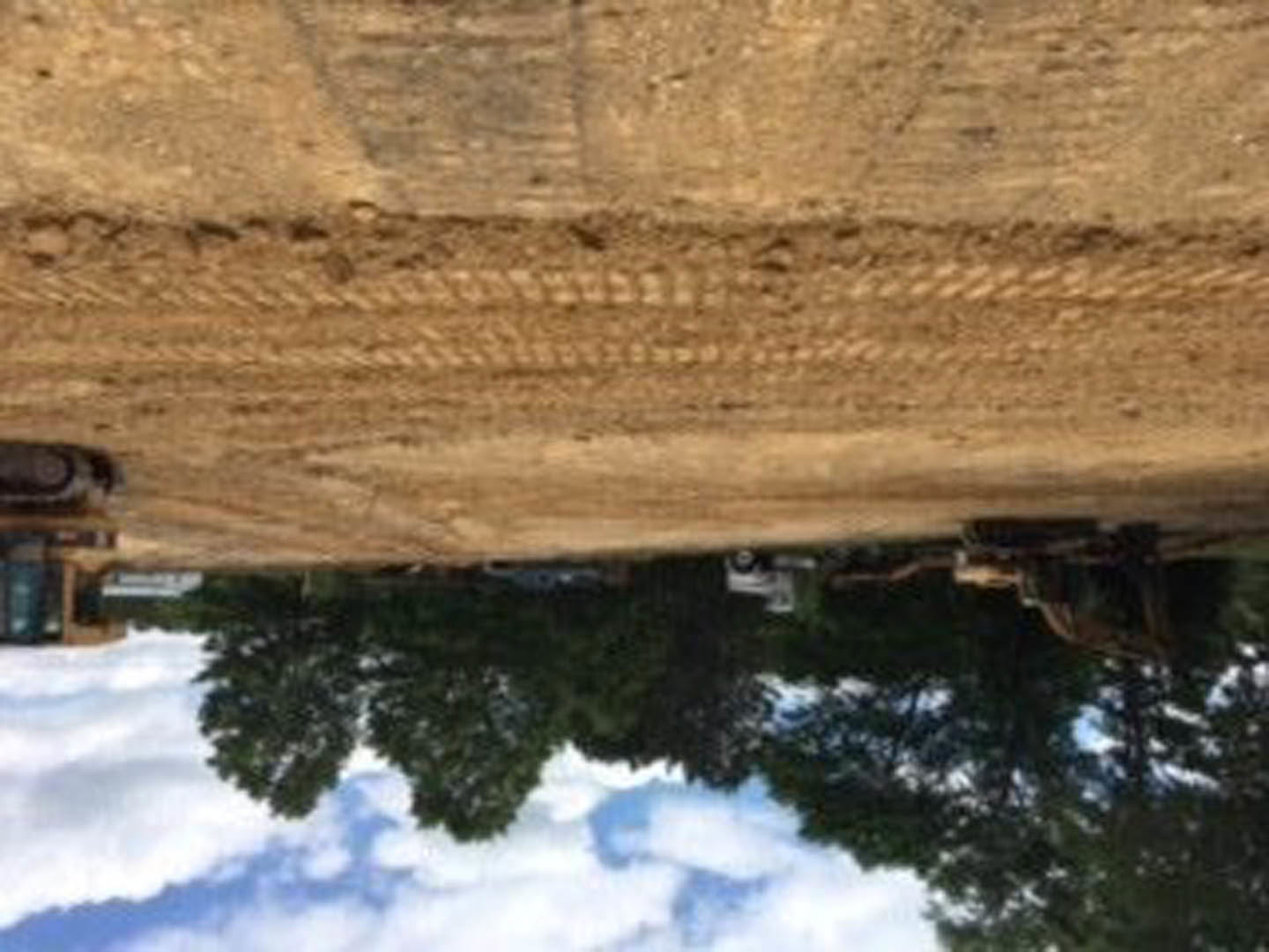 Dirt road with deep tire tracks bordered by grassy ground, under a cloudy sky with distant trees and mountains visible
