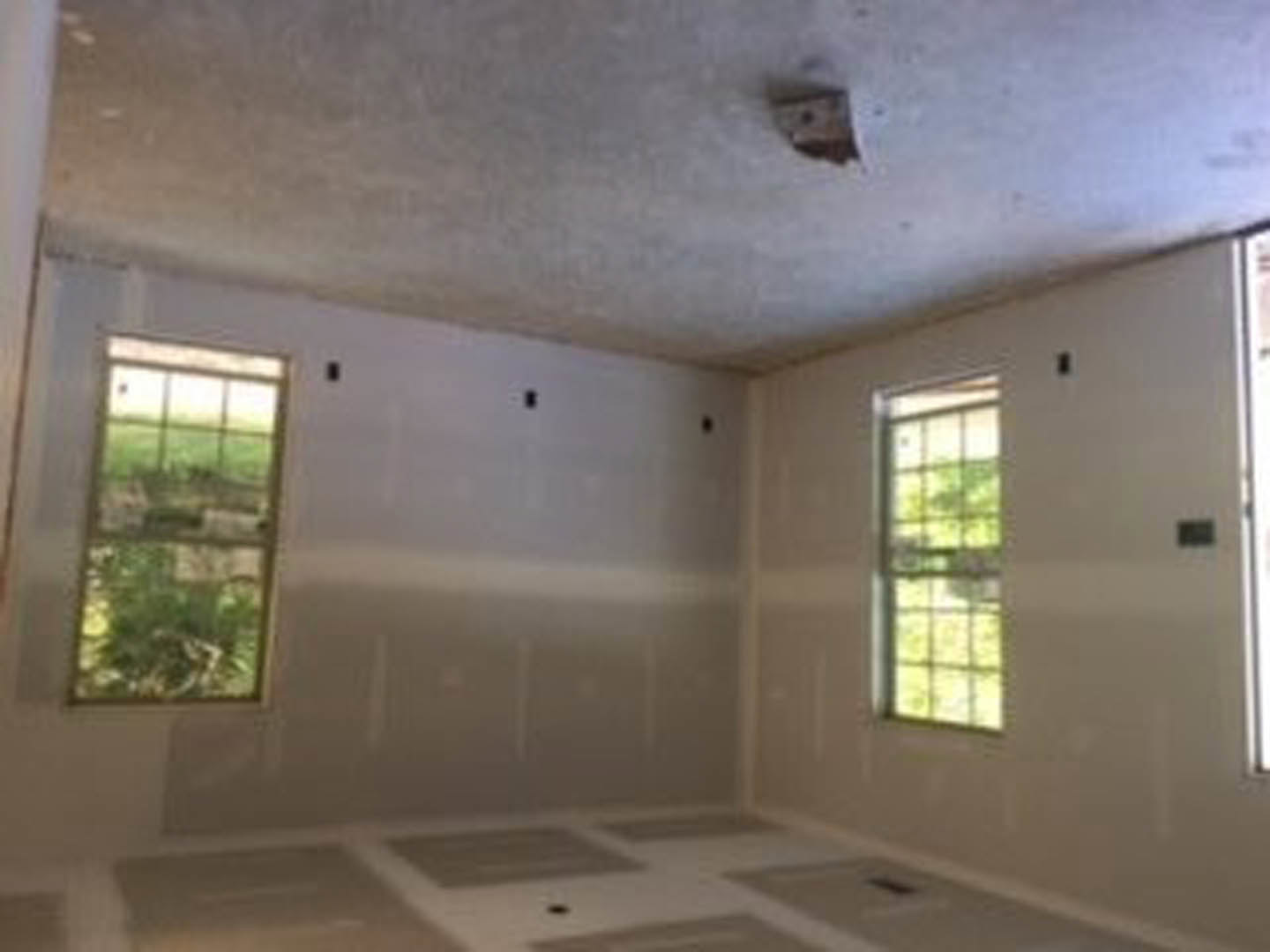 Bright room with large windows, white plaster ceiling, neutral walls, and carpeted floor; green tree visible through window.