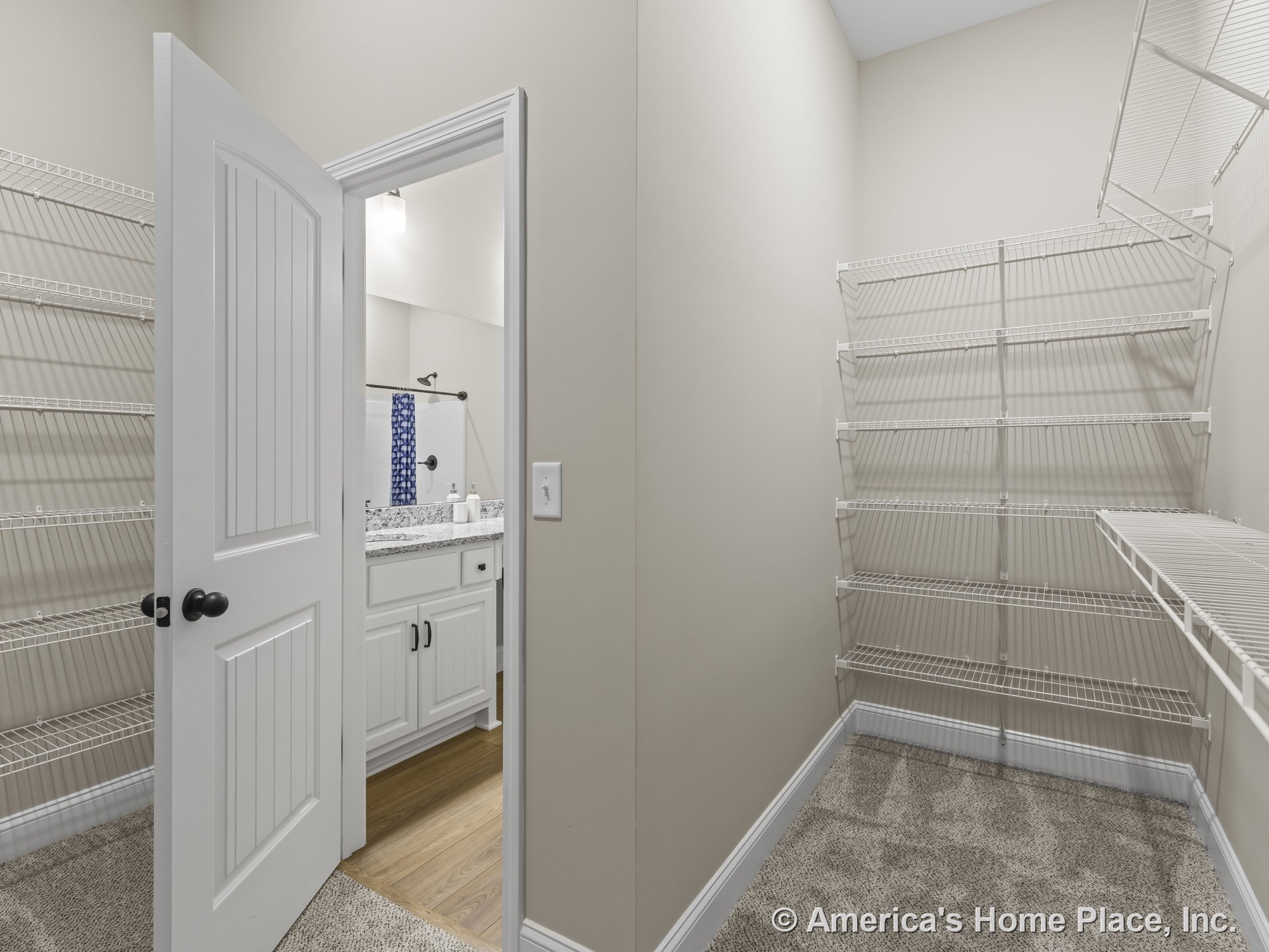 Walk-in closet with wire shelving and carpet flooring, white paneled door opening to bathroom featuring granite countertop, white cabinetry, wood-look flooring, baseboard trim, and