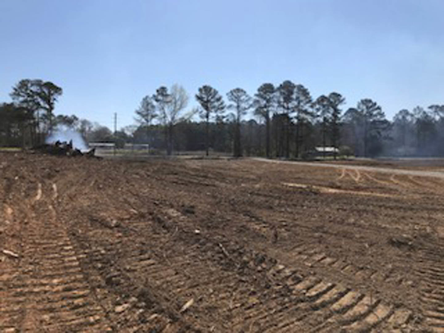 Dirt field with tire tracks bordered by a row of trees under a cloudy sky