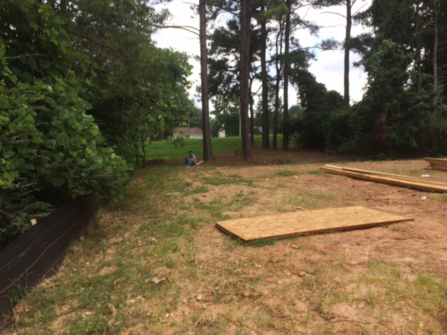 Wood planks resting on grassy field near dirt path, surrounded by green trees and conifers under open sky