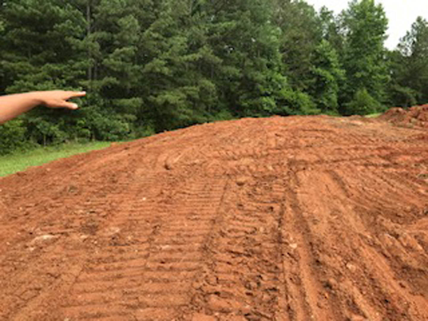 Person pointing at a dirt hill with tire tracks, trees in the background, and grass along the muddy ground