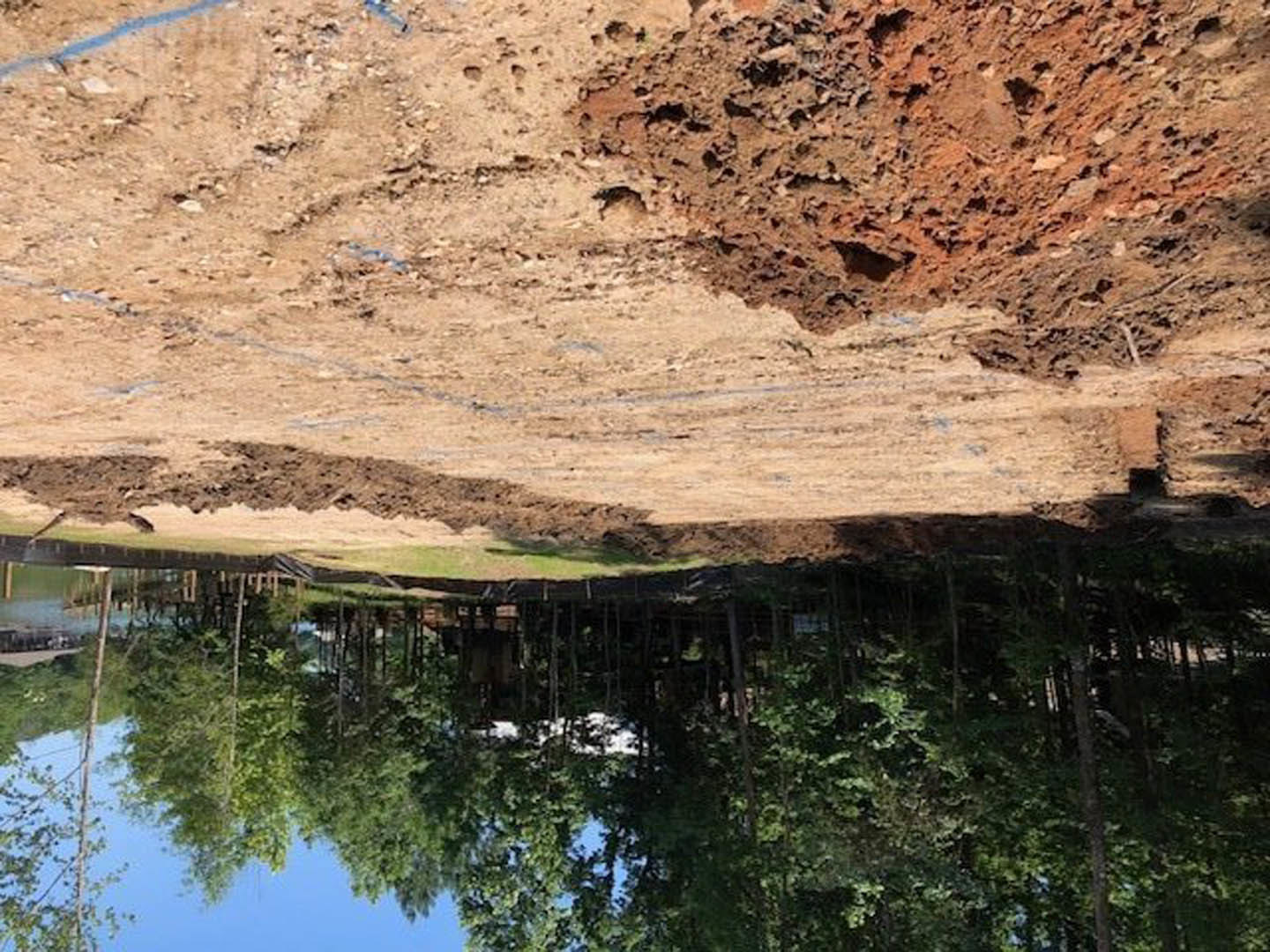 Dirt path bordered by trees under blue sky, rocks scattered along the ground, pond reflecting surrounding trees, mountainous landscape in the distance