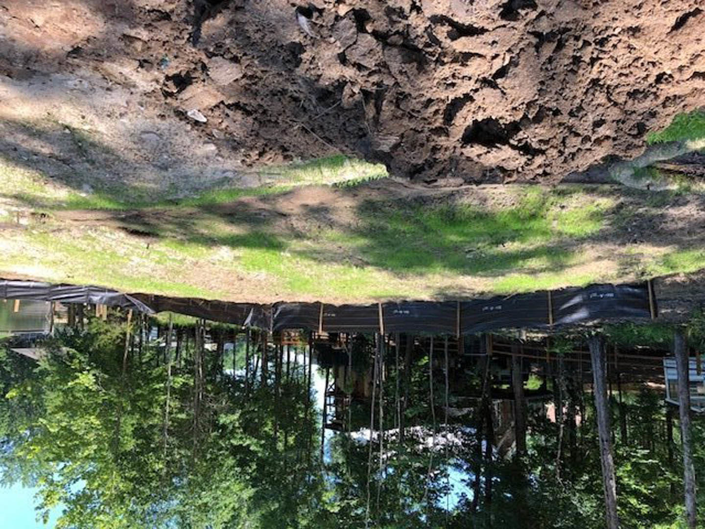 Dirt path bordered by tall trees leading to a modern residential building in the background, with grassy landscape and lake reflecting surrounding foliage.