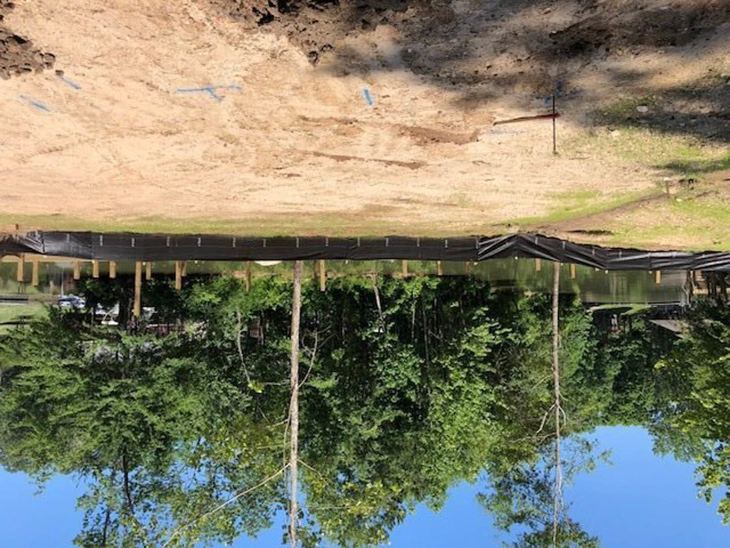 Dirt road bordered by green trees, black tarp along the roadside, blue sky overhead, grassy landscape in the background