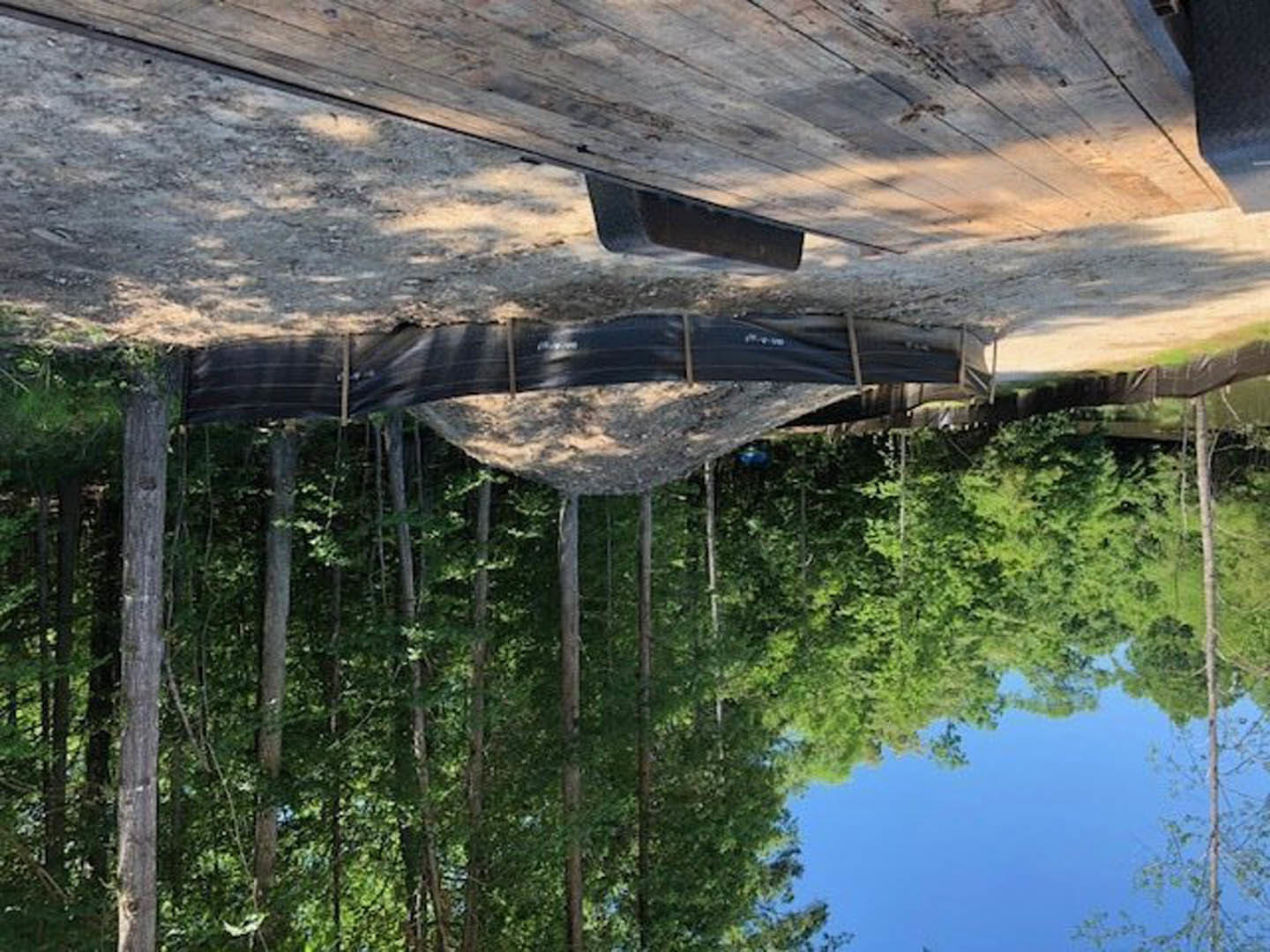 Dirt road bordered by leafy trees, black tarp lining one side, blue sky overhead, lake reflecting surrounding greenery