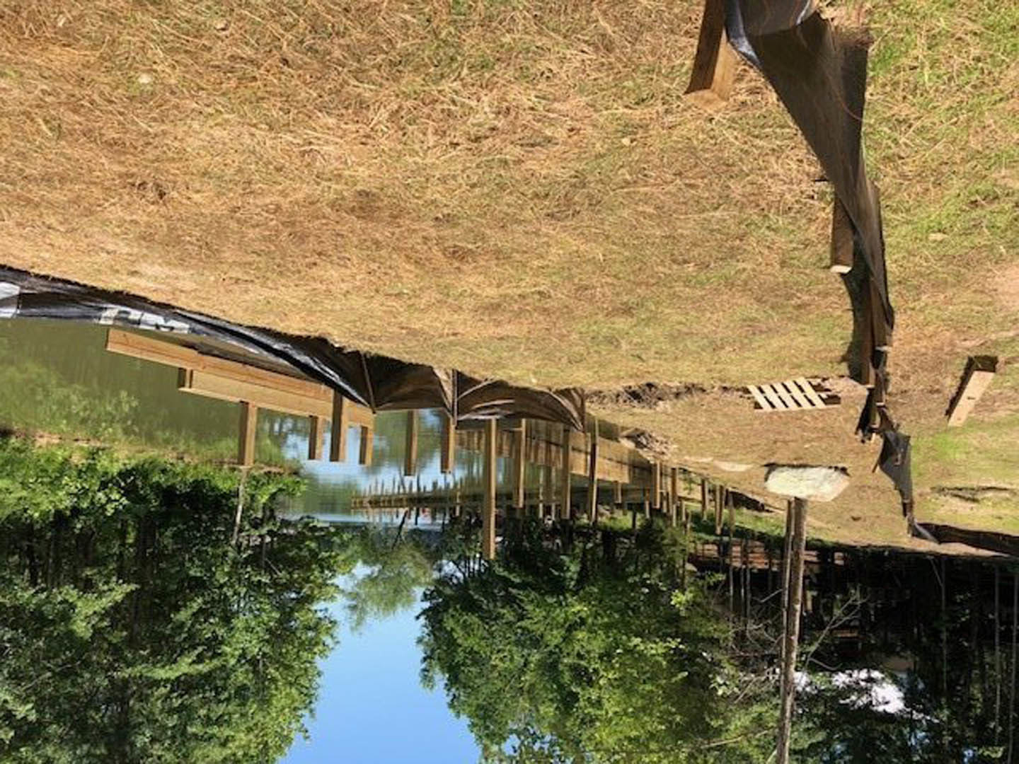 Grassy backyard with a small pond bordered by trees and a wooden fence, sunlight reflecting on water