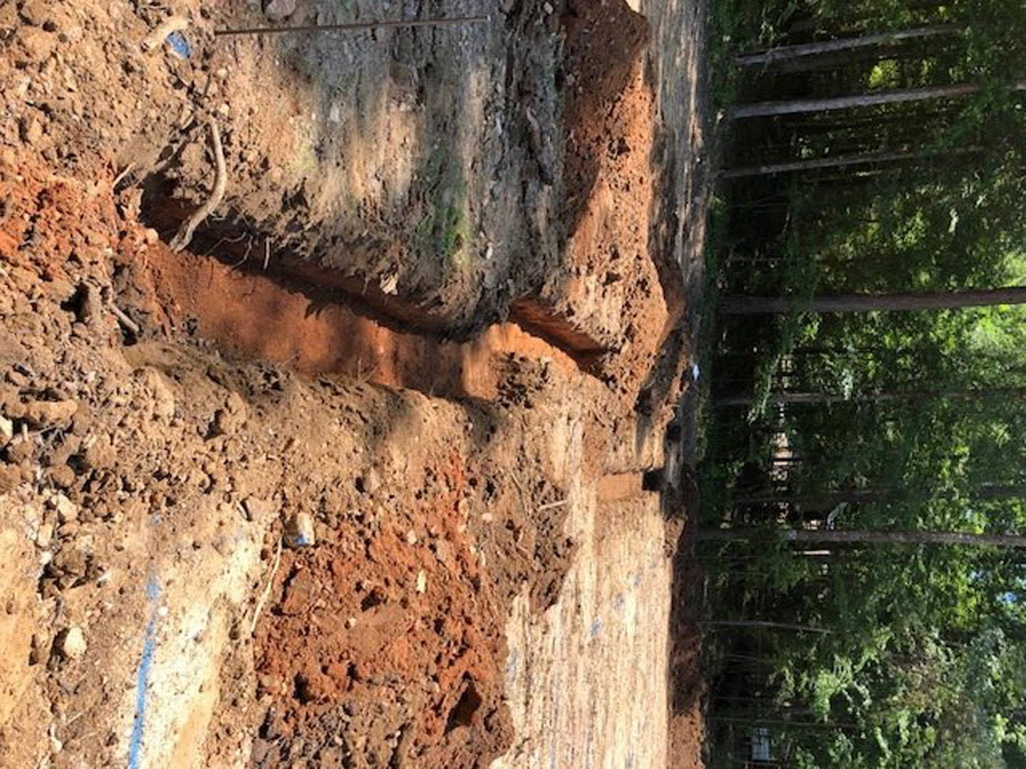 Dirt field with a deep trench, surrounded by scattered trees and exposed tree trunks