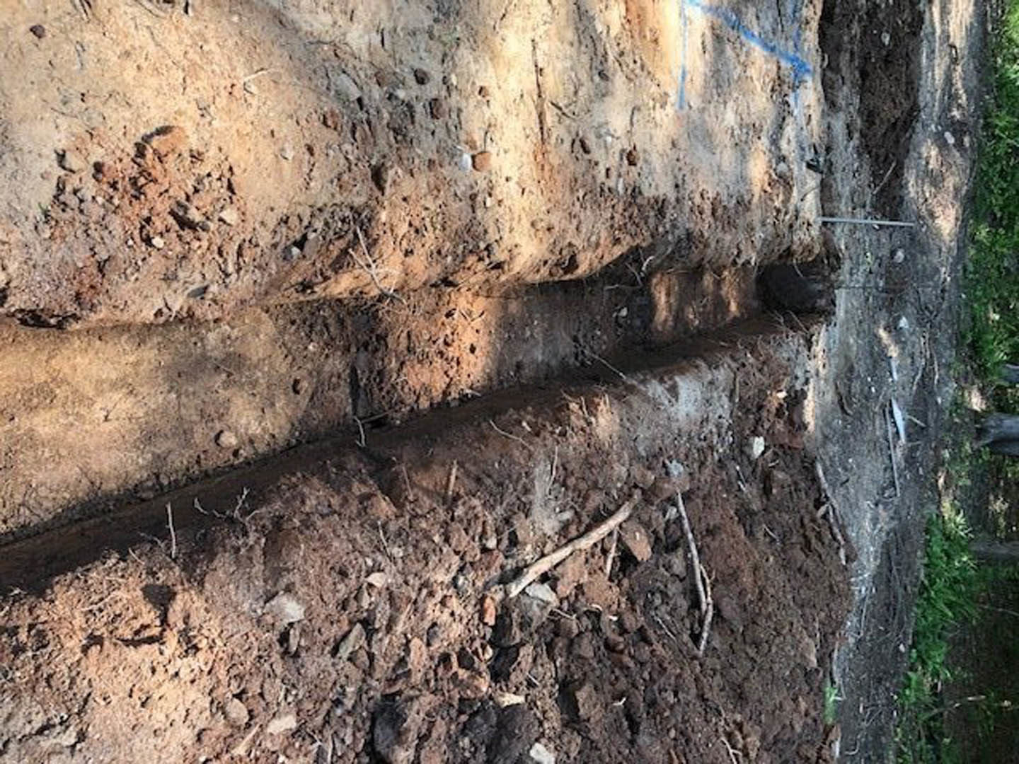 Dirt ground scattered with sticks, rocks, and patches of grass