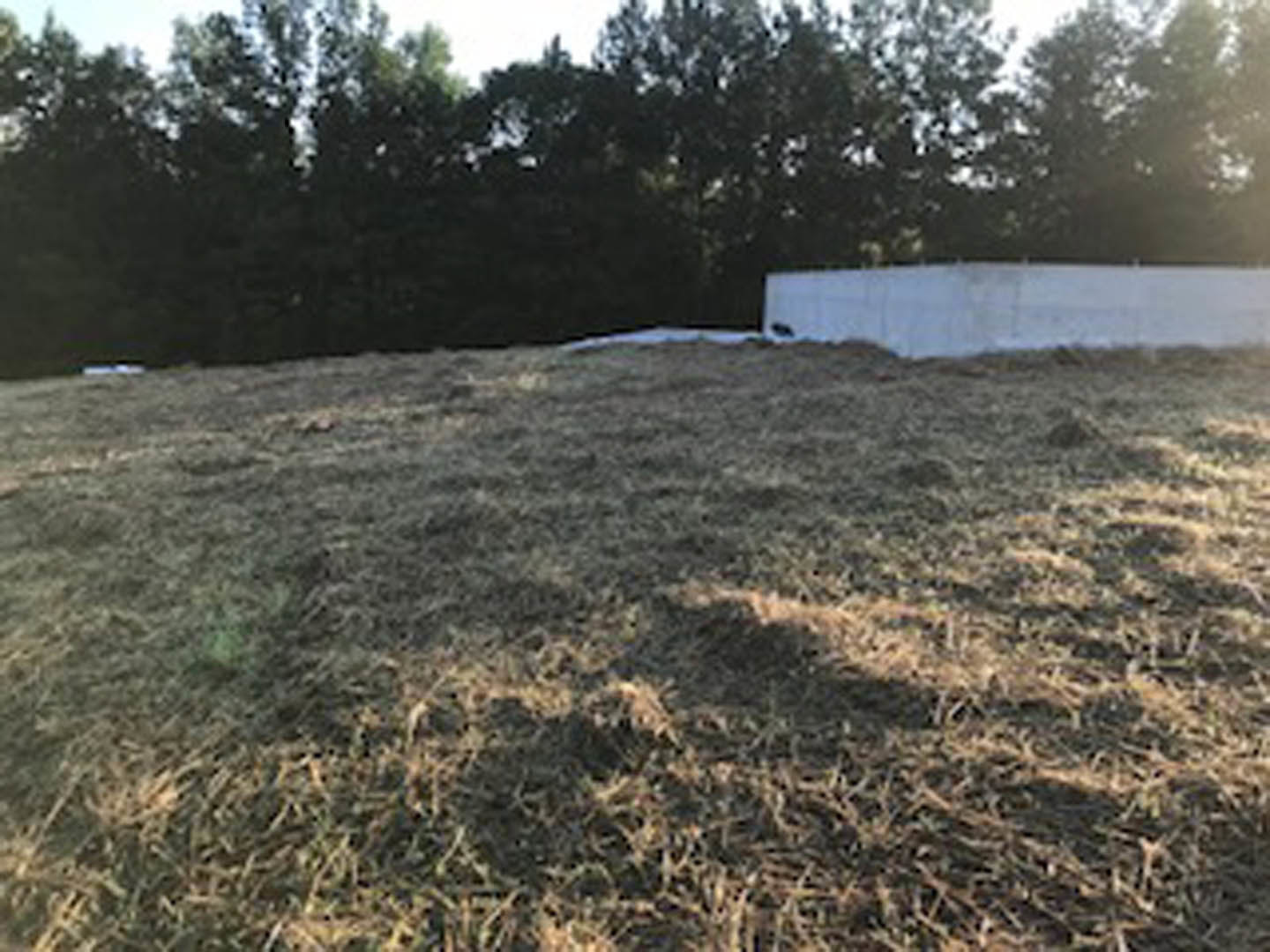 Wide grassy field bordered by mature trees under open sky, white wall partially visible along edge, landscape features mix of open lawn and wooded backdrop