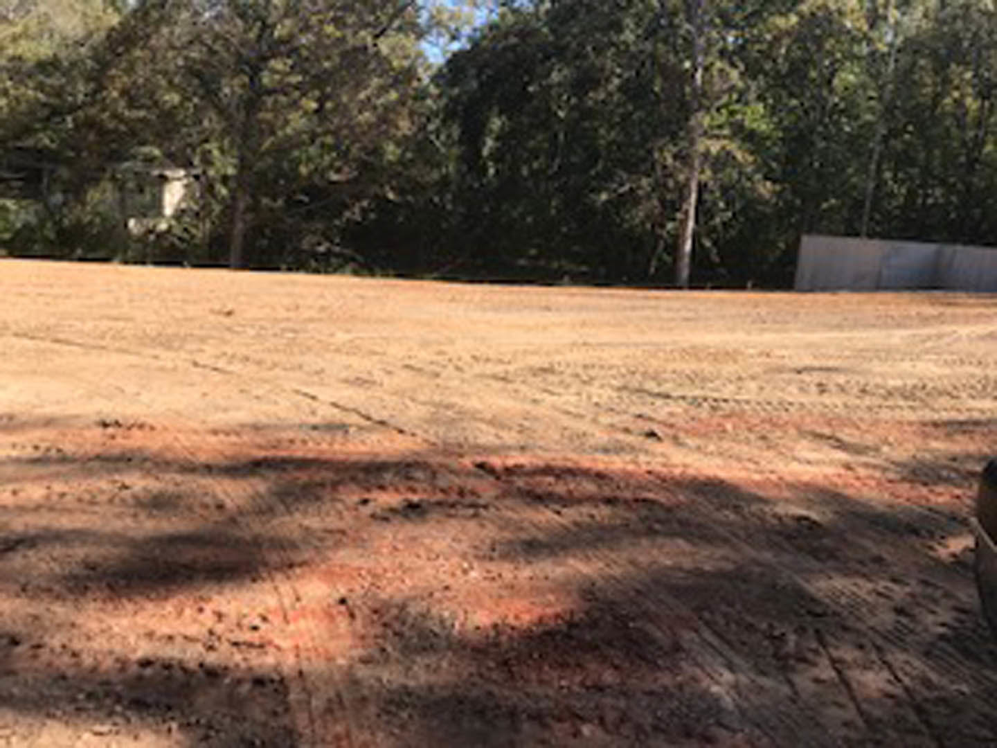 Dirt field bordered by tall trees under a clear sky