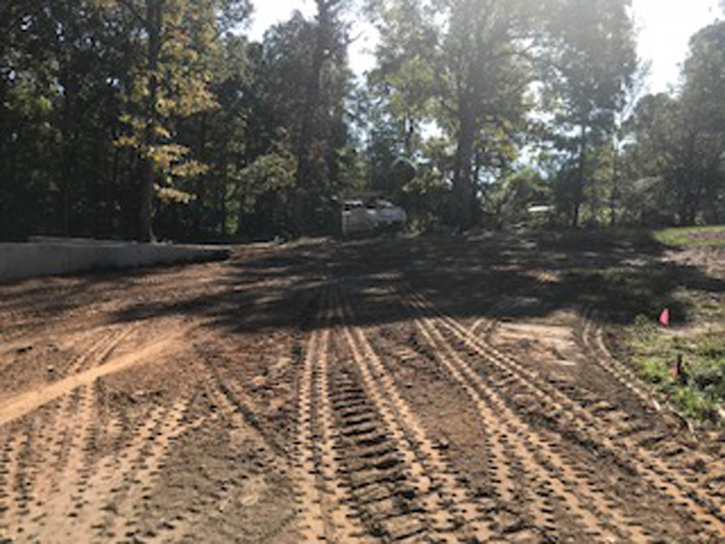 Tire tracks on a dirt road bordered by trees and dense forest, under an open sky