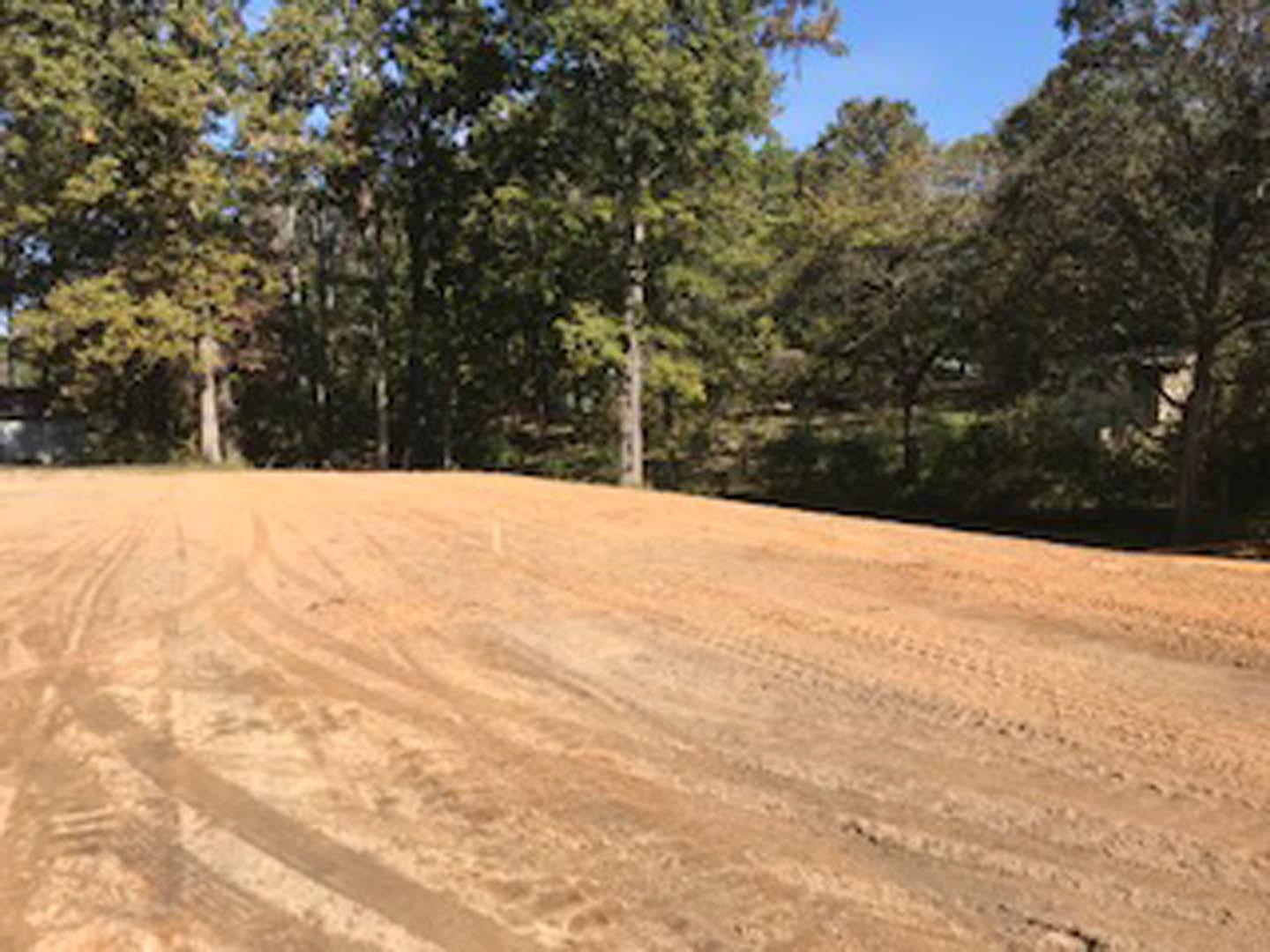 Dirt road with tire tracks leading toward a cluster of trees under clear blue sky, foreground of soil and sparse vegetation