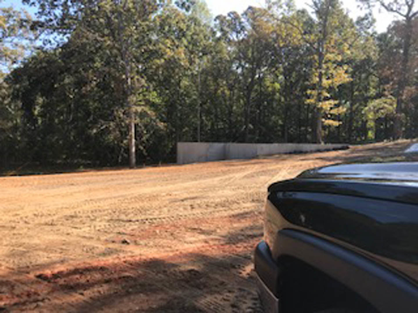Black car parked on a dirt driveway bordered by tall trees, natural landscape visible in the background