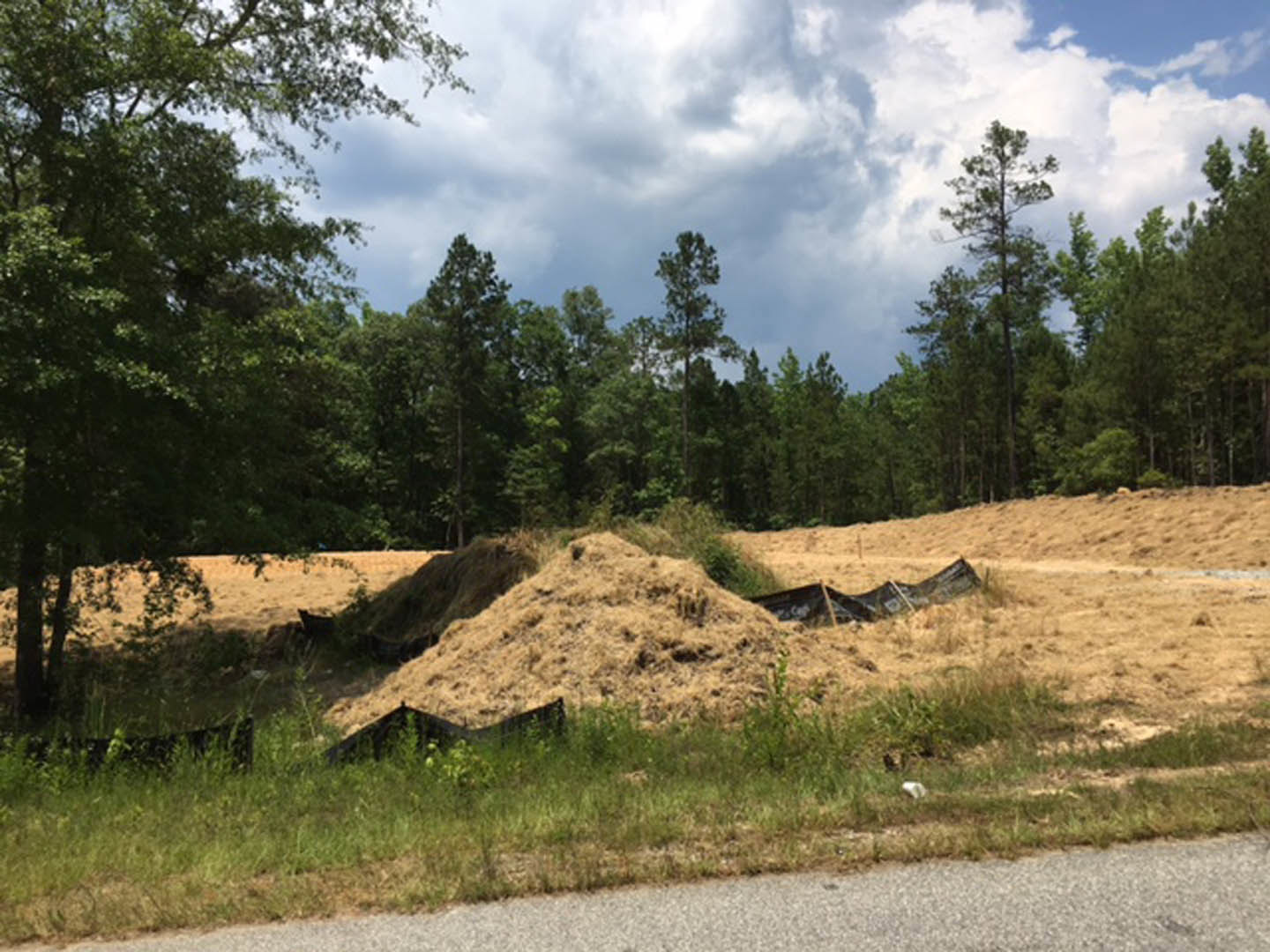 Dirt mound surrounded by green grass, trees with leafy branches, cloudy sky overhead, rural road curving beside the land lot