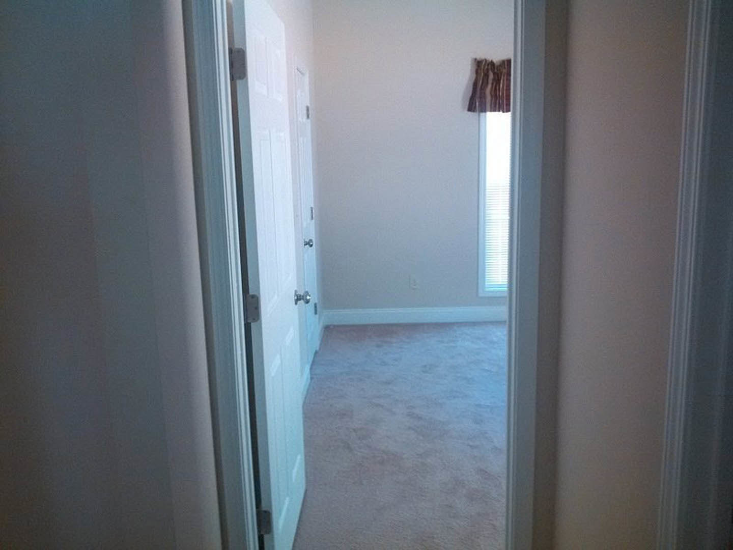Hallway with white paneled doors, light carpet flooring, and white plaster walls