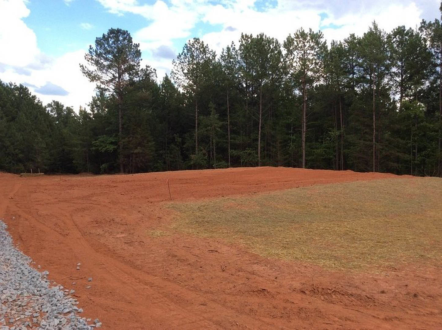 Dirt field bordered by leafy trees under a cloudy sky, patches of grass and rocks scattered across the soil, telephone pole visible among the trees
