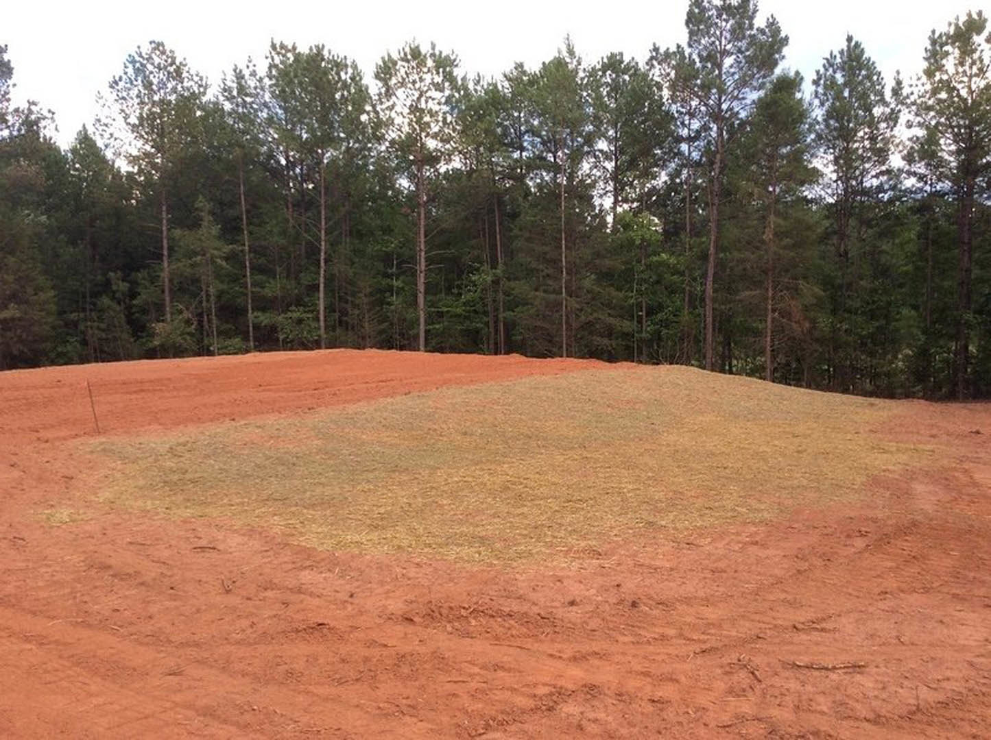 Dirt field bordered by tall green trees under a clear sky