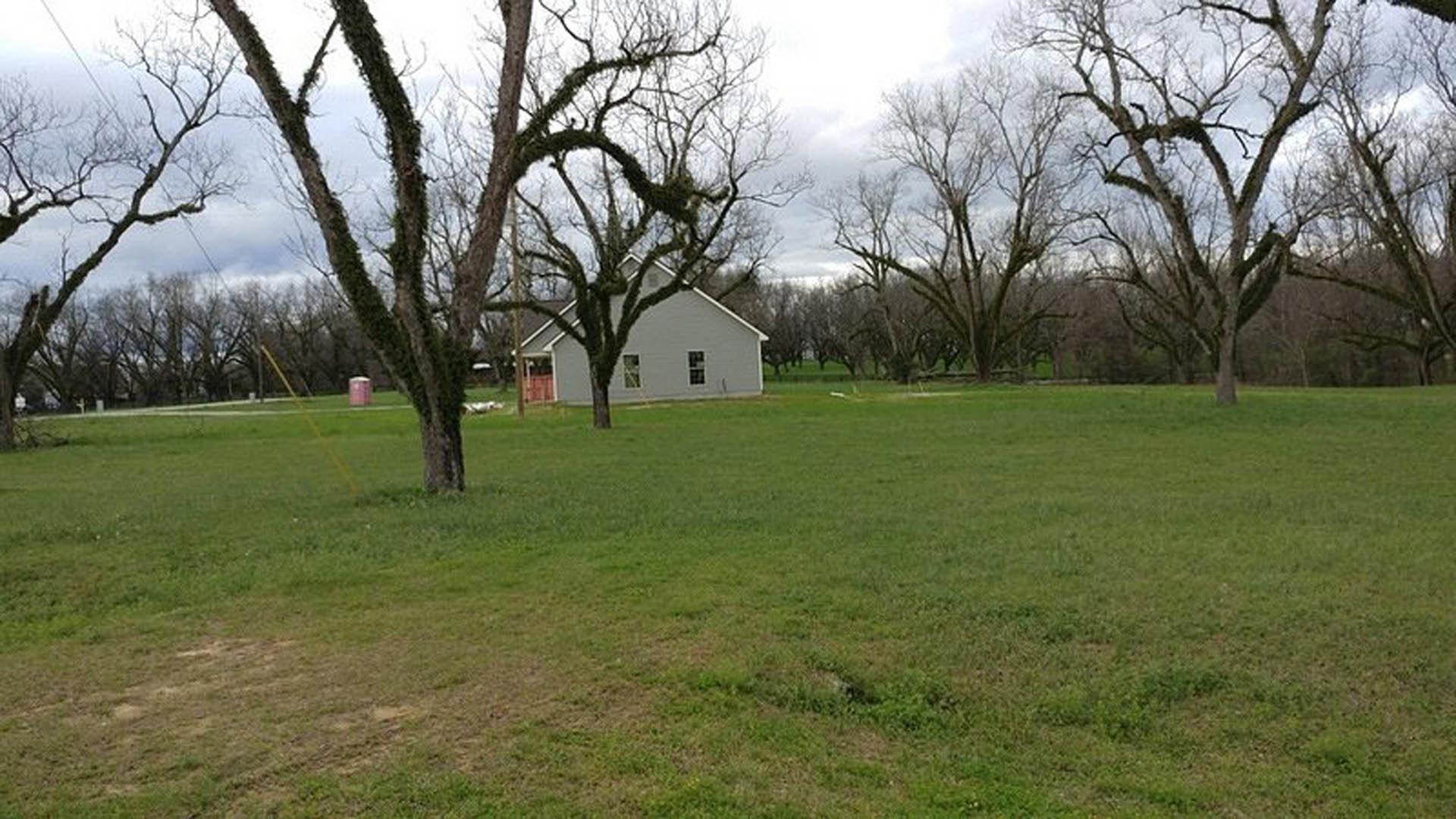 Modern farmhouse with white siding and dark roof set in a large grassy field, mature tree in front, expansive lawn and scattered trees in the background under a partly cloudy sky