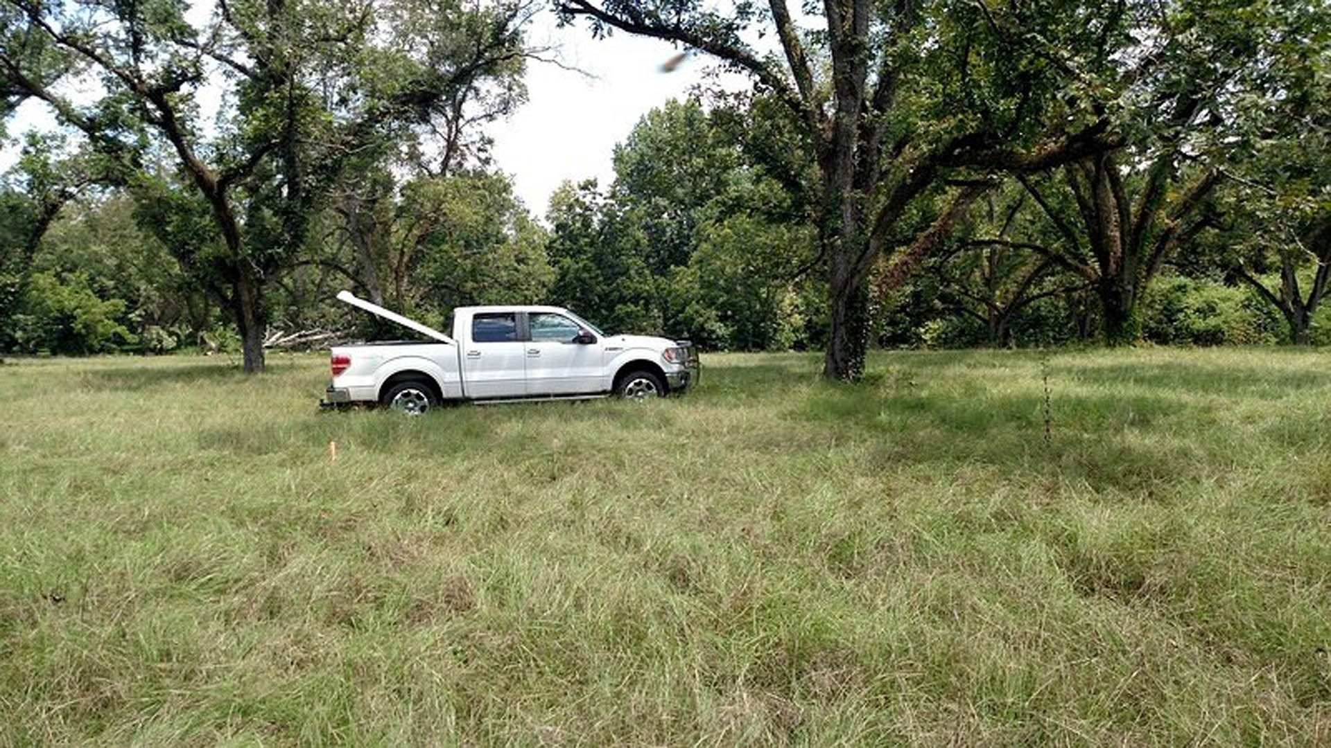 White pickup truck with open tailgate parked on grassy field near trees