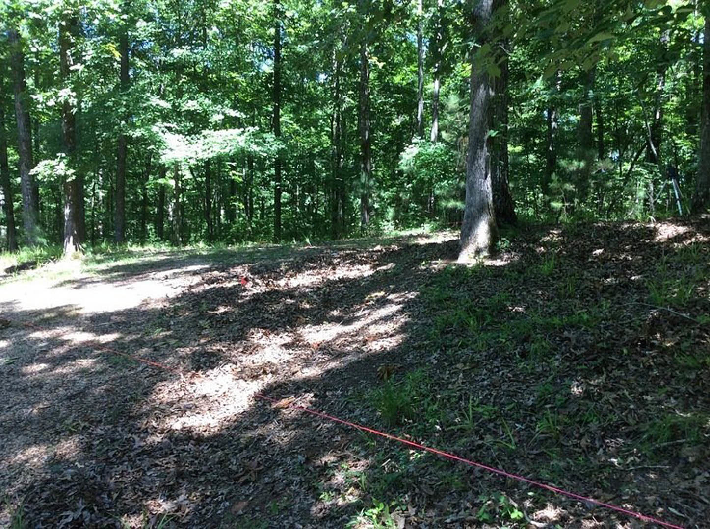 Dirt path winding through dense woodland, tree trunks and green grass lining the trail, red rope lying across the ground