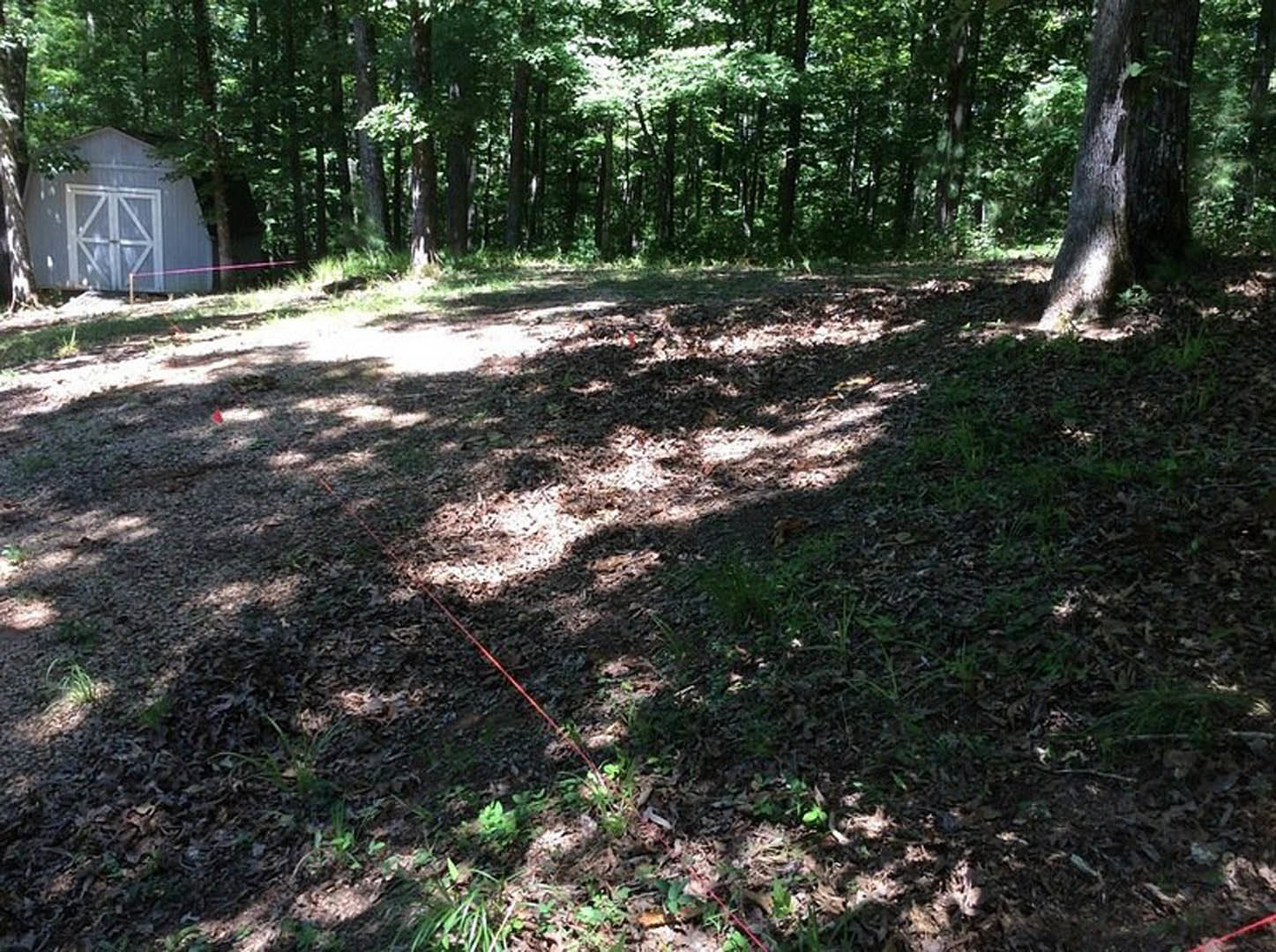 Wooded backyard with mature trees, grassy ground, small shed featuring a white door, and red rope lying on dirt near forested area