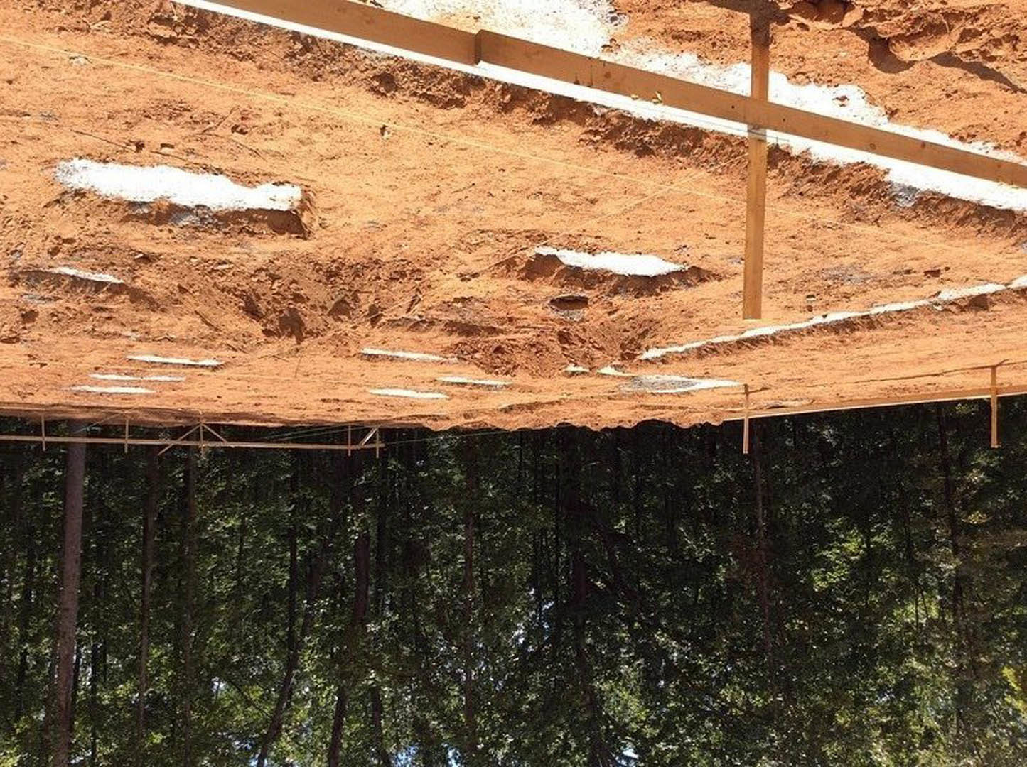 Dirt road bordered by wooden fence, surrounded by trees with visible trunks and leafy background