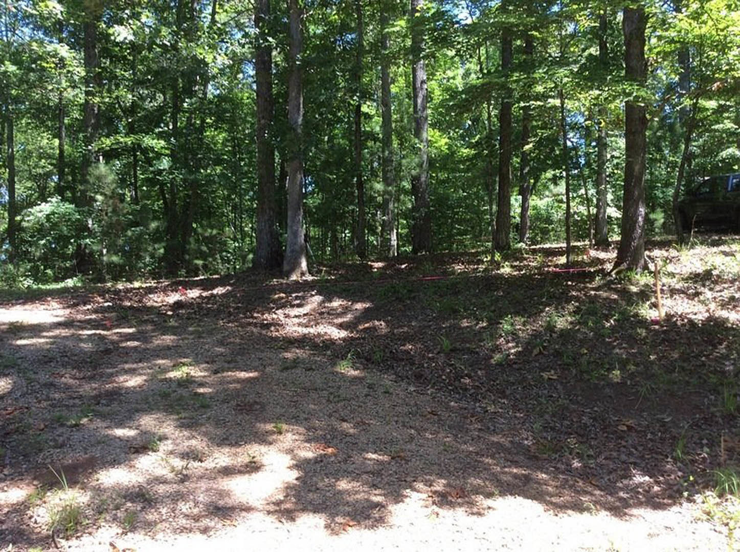 Dirt path winding through dense forest with tall oak trees and grassy ground