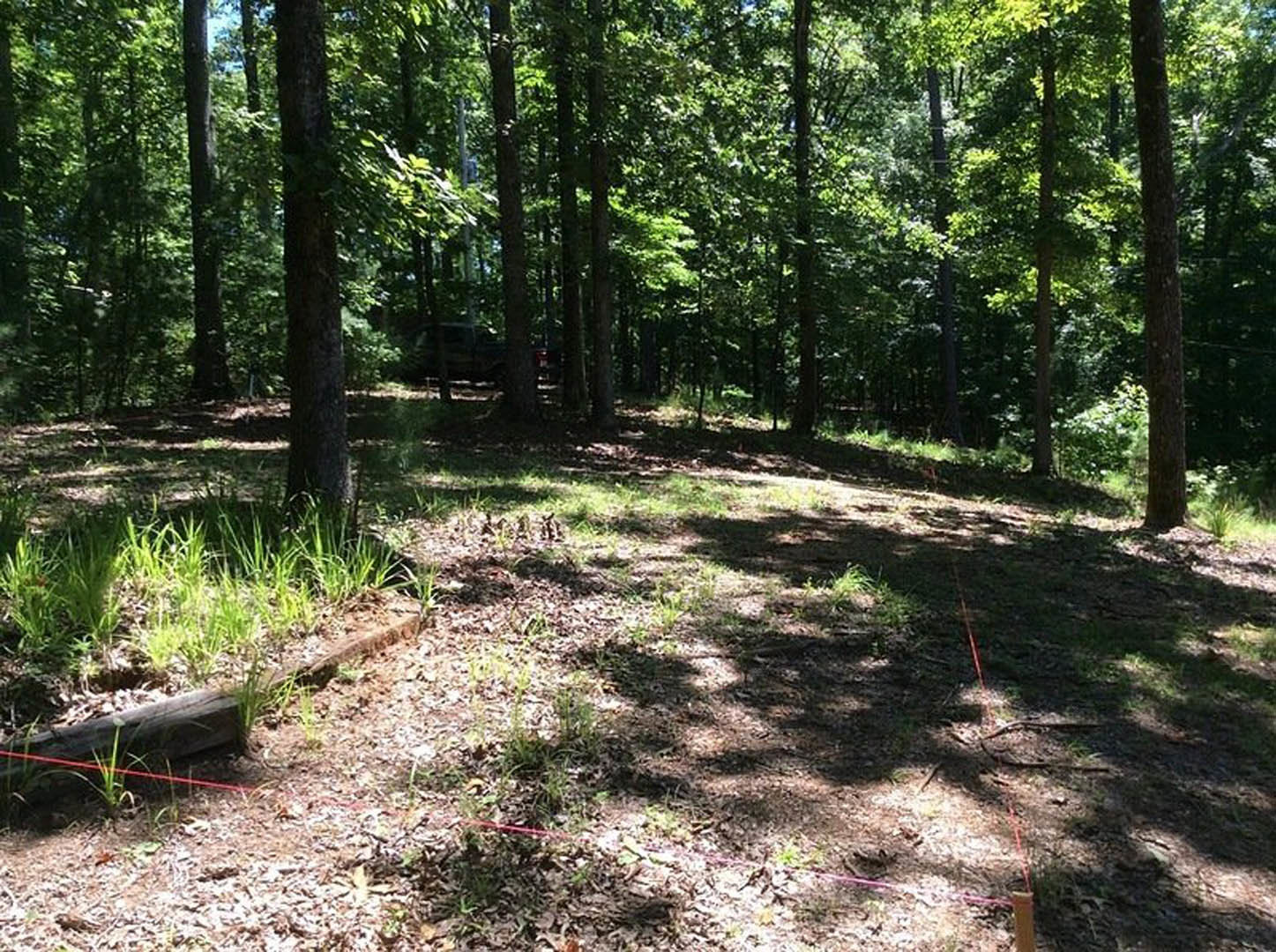 Dirt clearing surrounded by tall trees and grass, log lying on ground, red rope near tree trunk, pickup truck parked in forested background