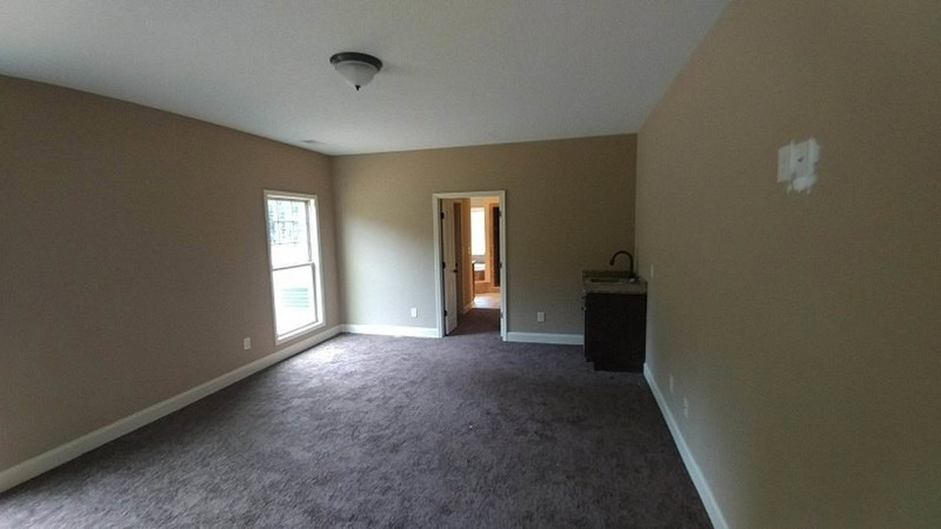 Carpeted room with a white sink, neutral walls, and a paneled door