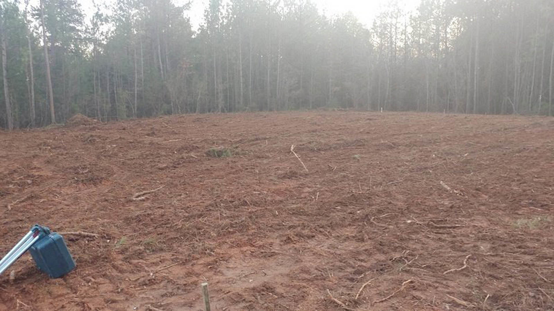 Grassy field bordered by tall trees under a foggy sky, soil patches visible in foreground