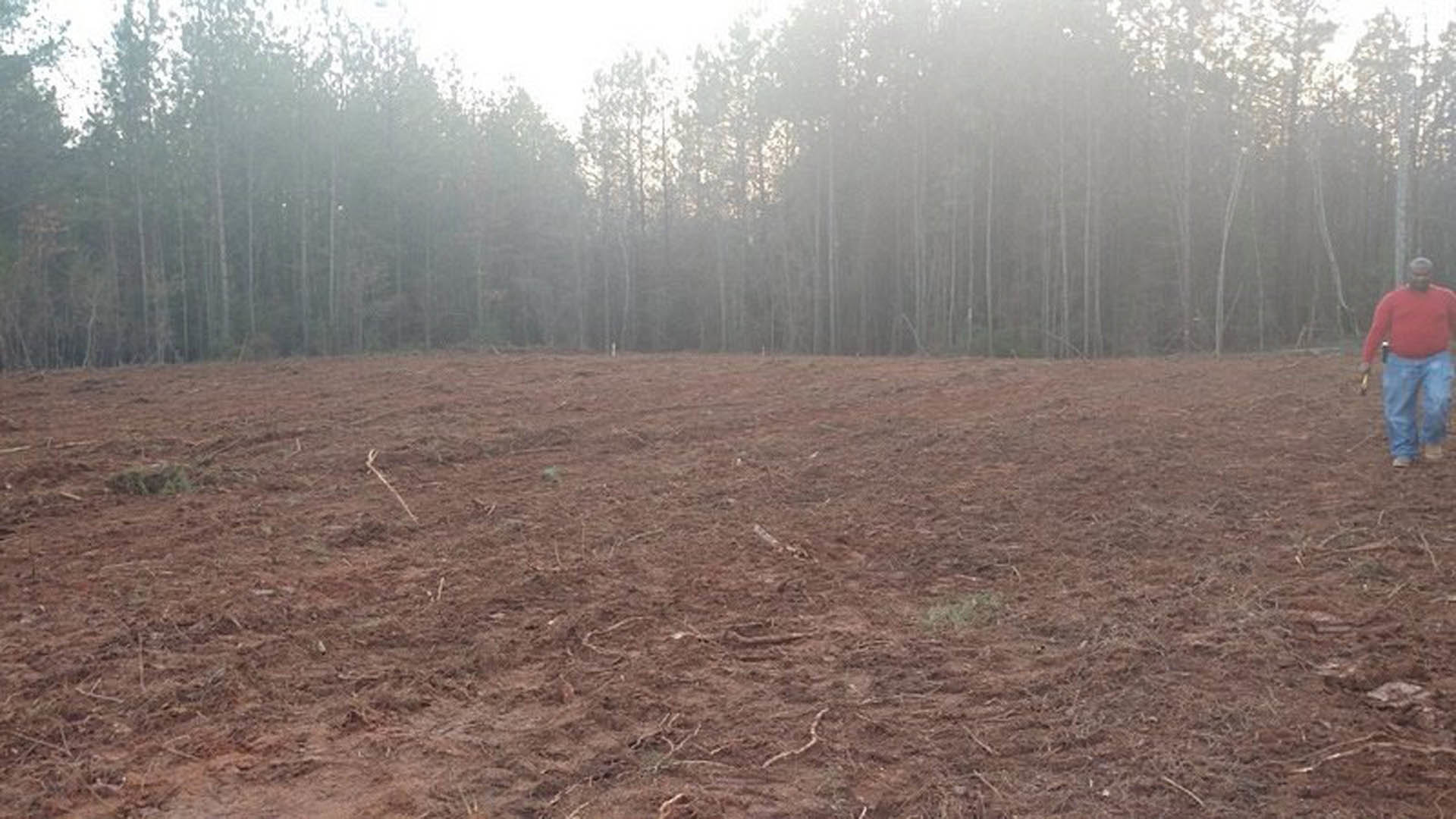 Open field with patches of soil, foggy tree line in the background, person in jeans and red shirt holding a hammer, misty outdoor setting