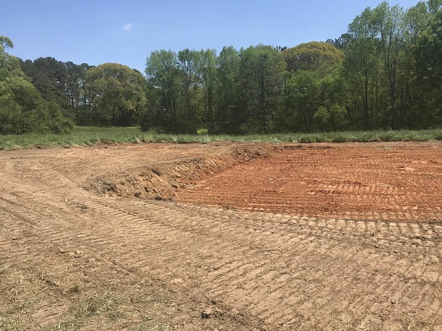 Dirt field bordered by tall trees under a clear sky, patches of grass and soil visible in foreground