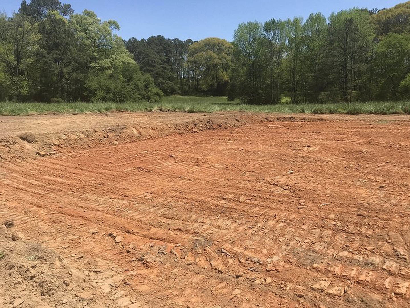 Dirt field with tire tracks, scattered grass, and a backdrop of dense trees under a clear blue sky