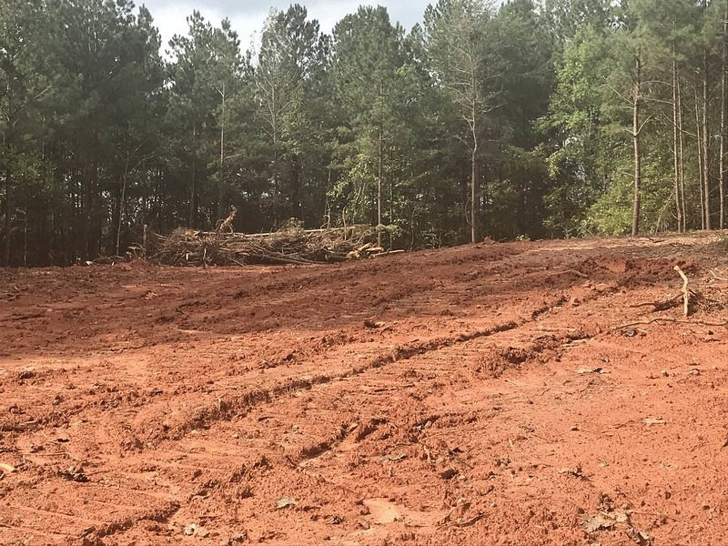 Dirt field with tire tracks bordered by leafy trees and scattered branches, under open sky
