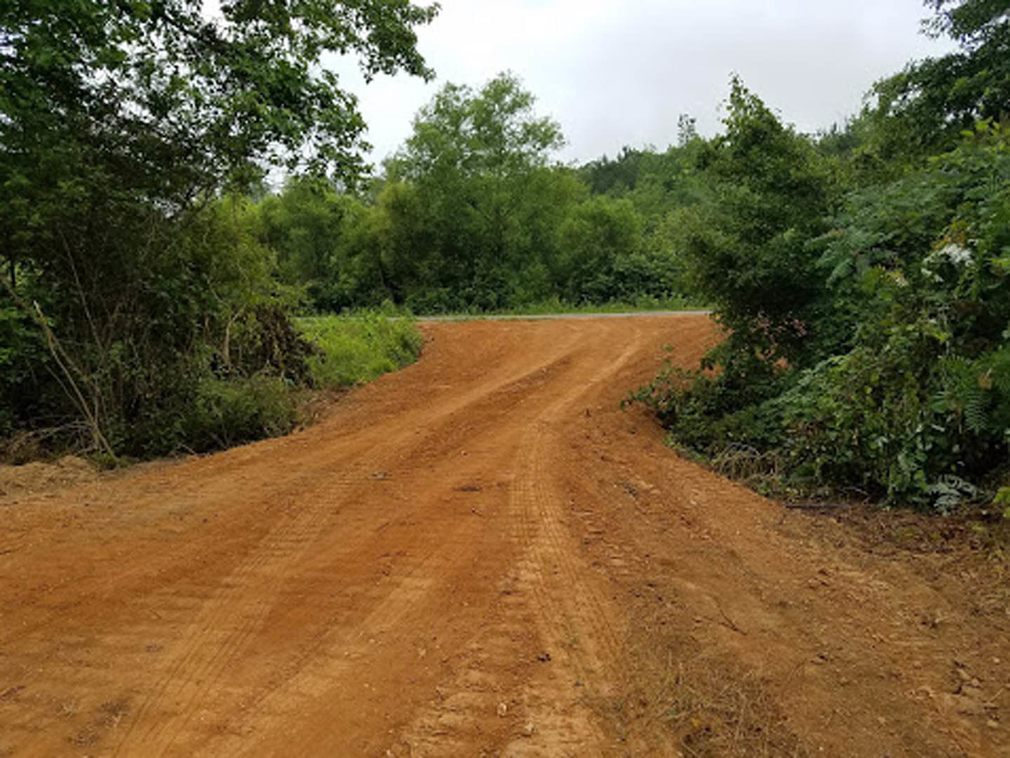 Dirt road lined with trees and bushes under open sky