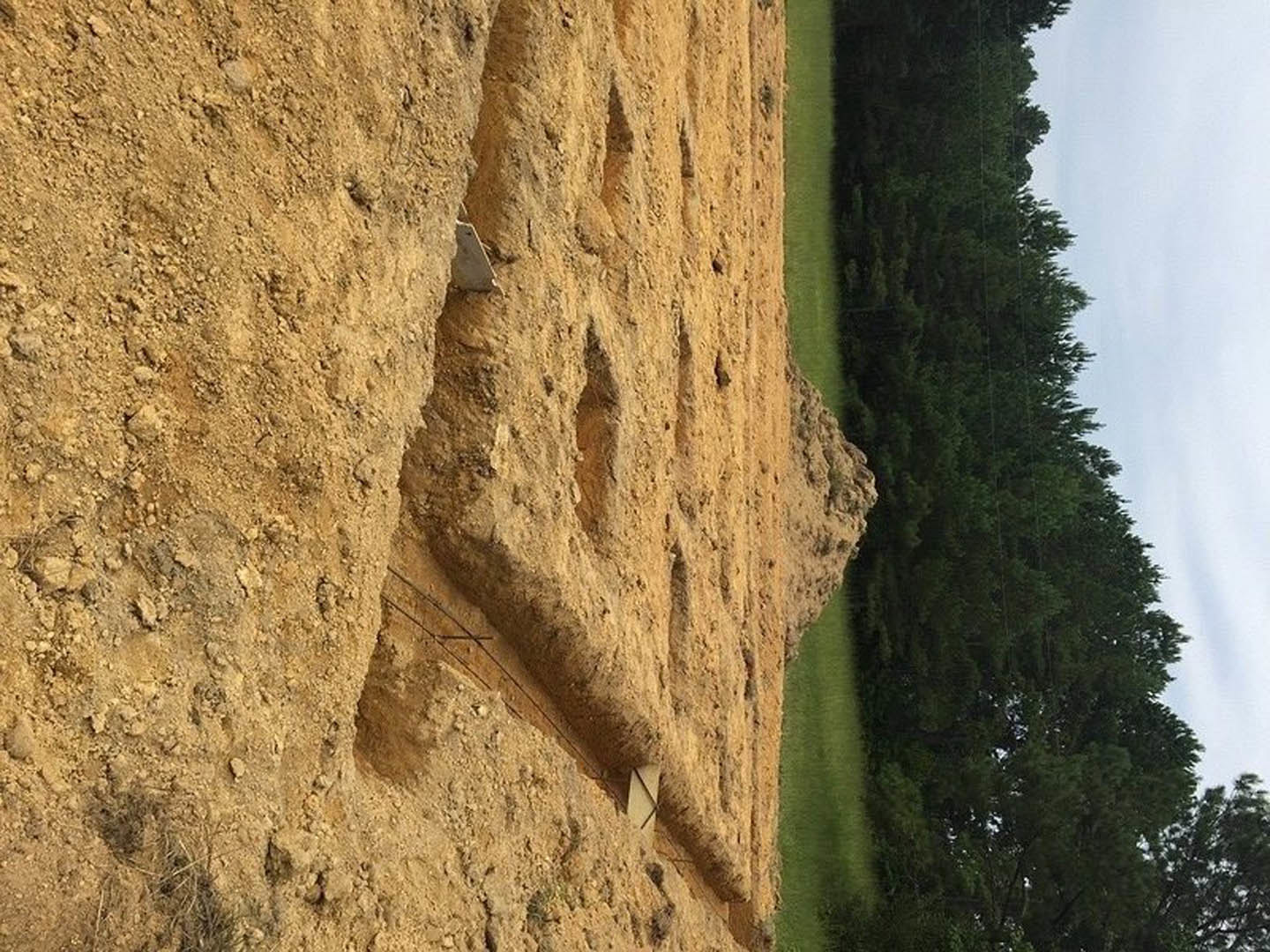 Dirt hill with scattered trees in the background under open sky