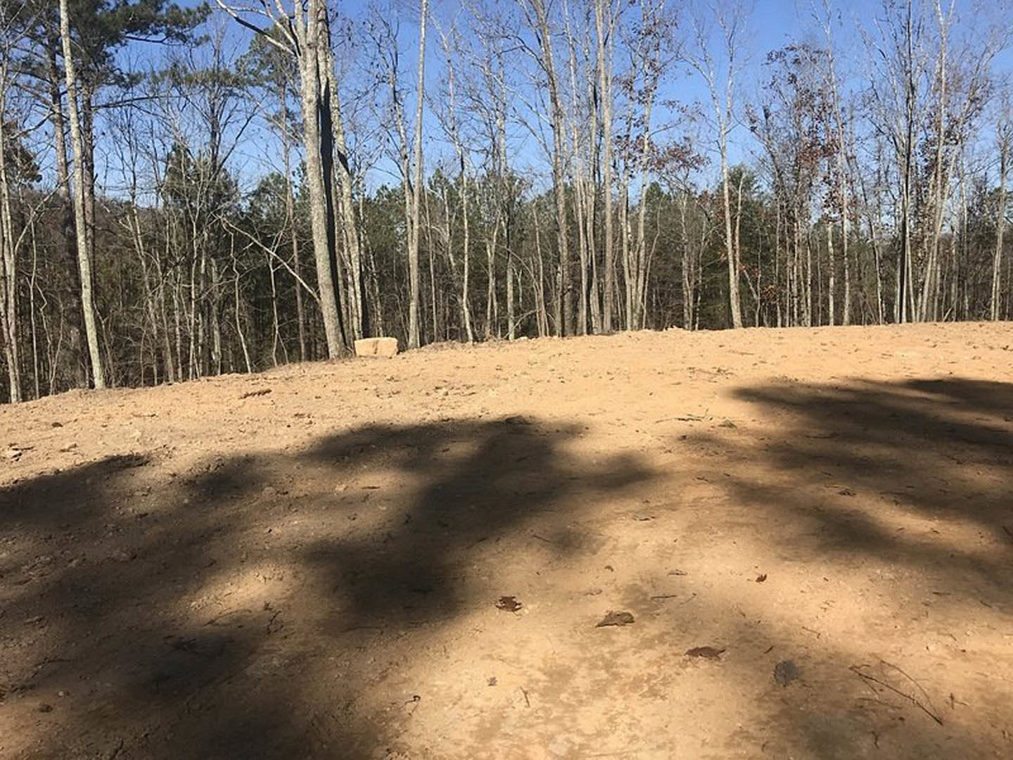 Dirt hill with scattered trees in the background under open sky, natural landscape with earthy ground and forested area