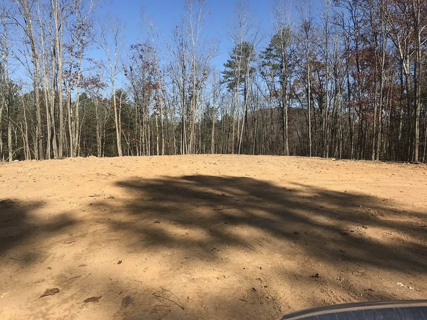Dirt field bordered by mature trees under clear blue sky