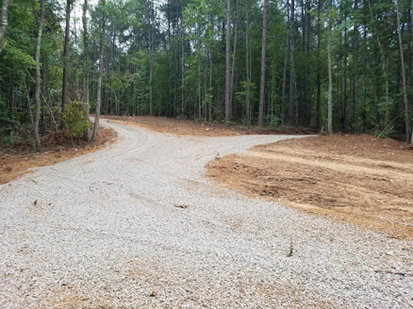 Gravel driveway bordered by tall trees and dense woodland, natural soil and stones leading into a forested area