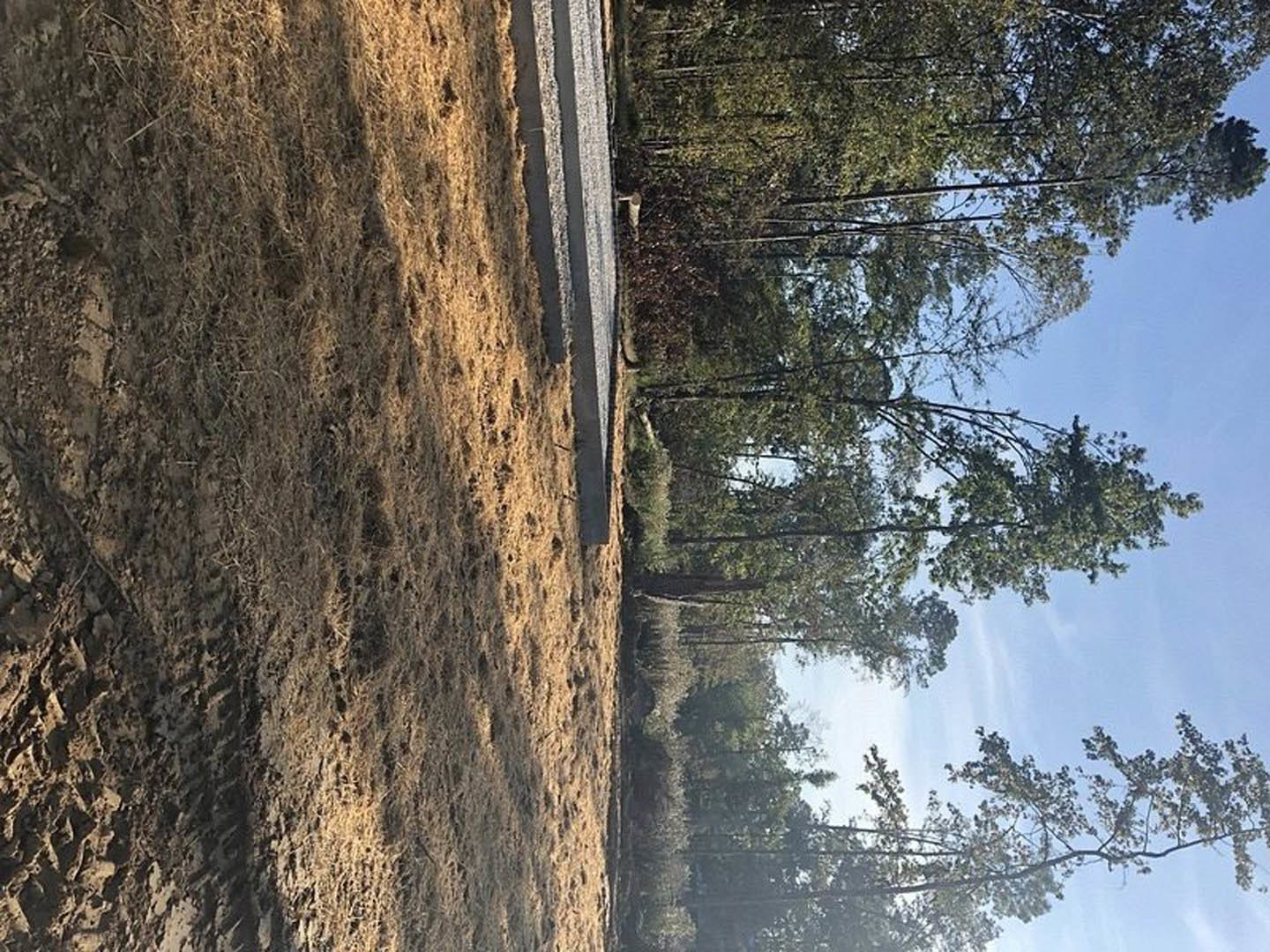 Dirt field bordered by leafy trees and a paved road under a clear sky