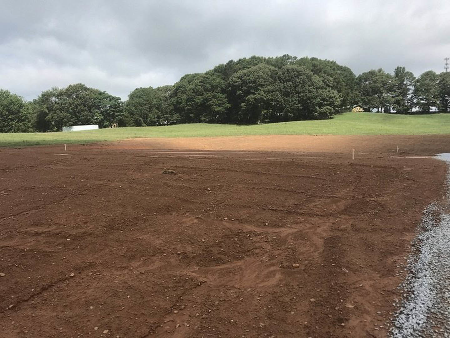 Dirt field bordered by mature trees under a partly cloudy sky