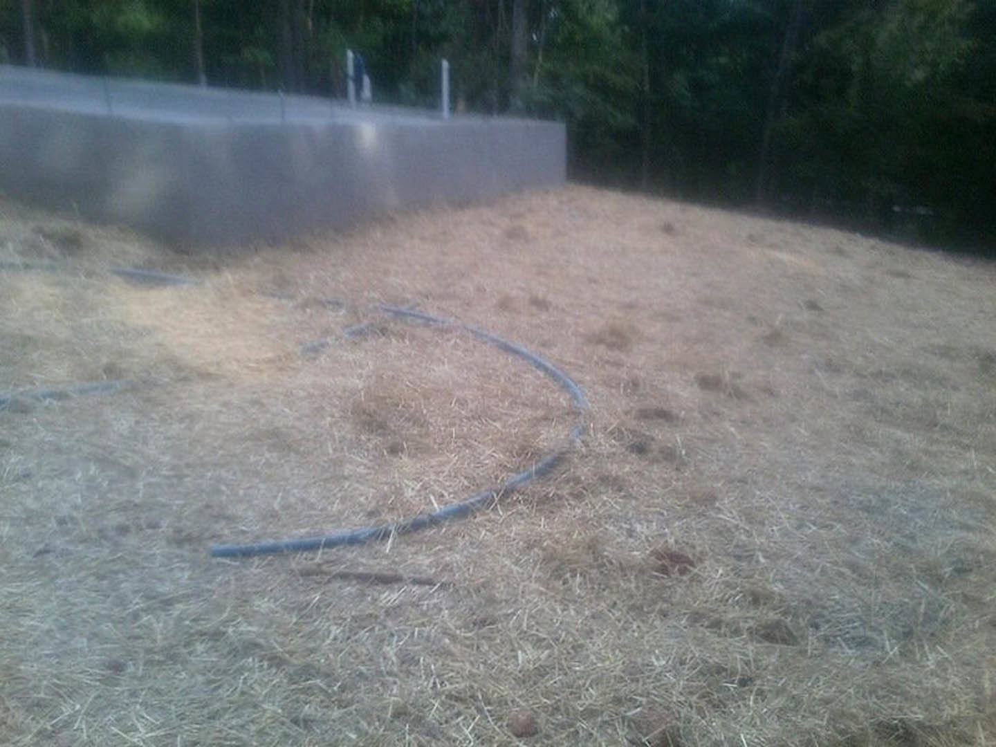 Blue hose lying on dry grass near trees in a foggy outdoor setting