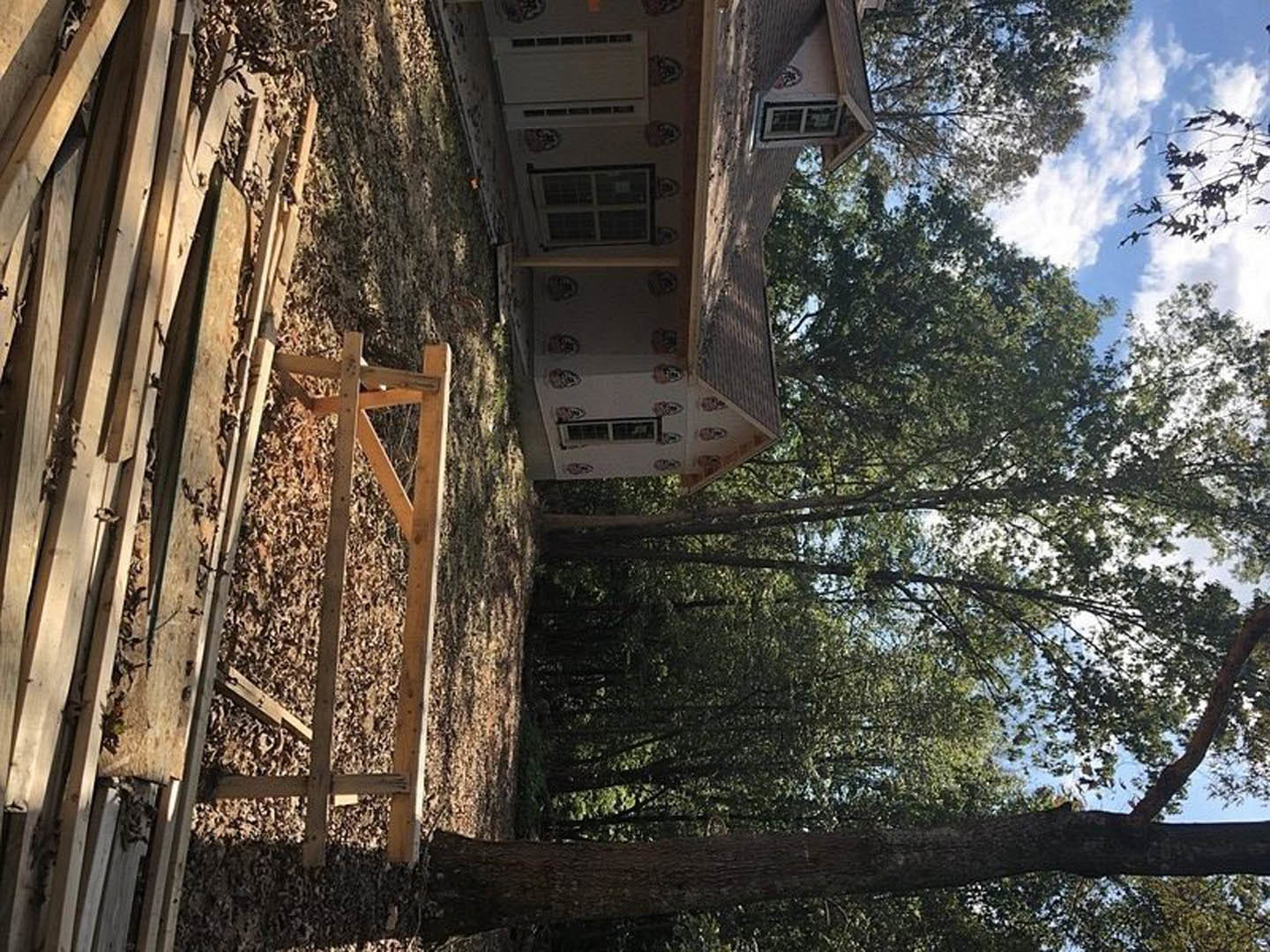 Modern two-story home with large grid windows, light wood siding, and a mature tree in the backyard against a partly cloudy sky